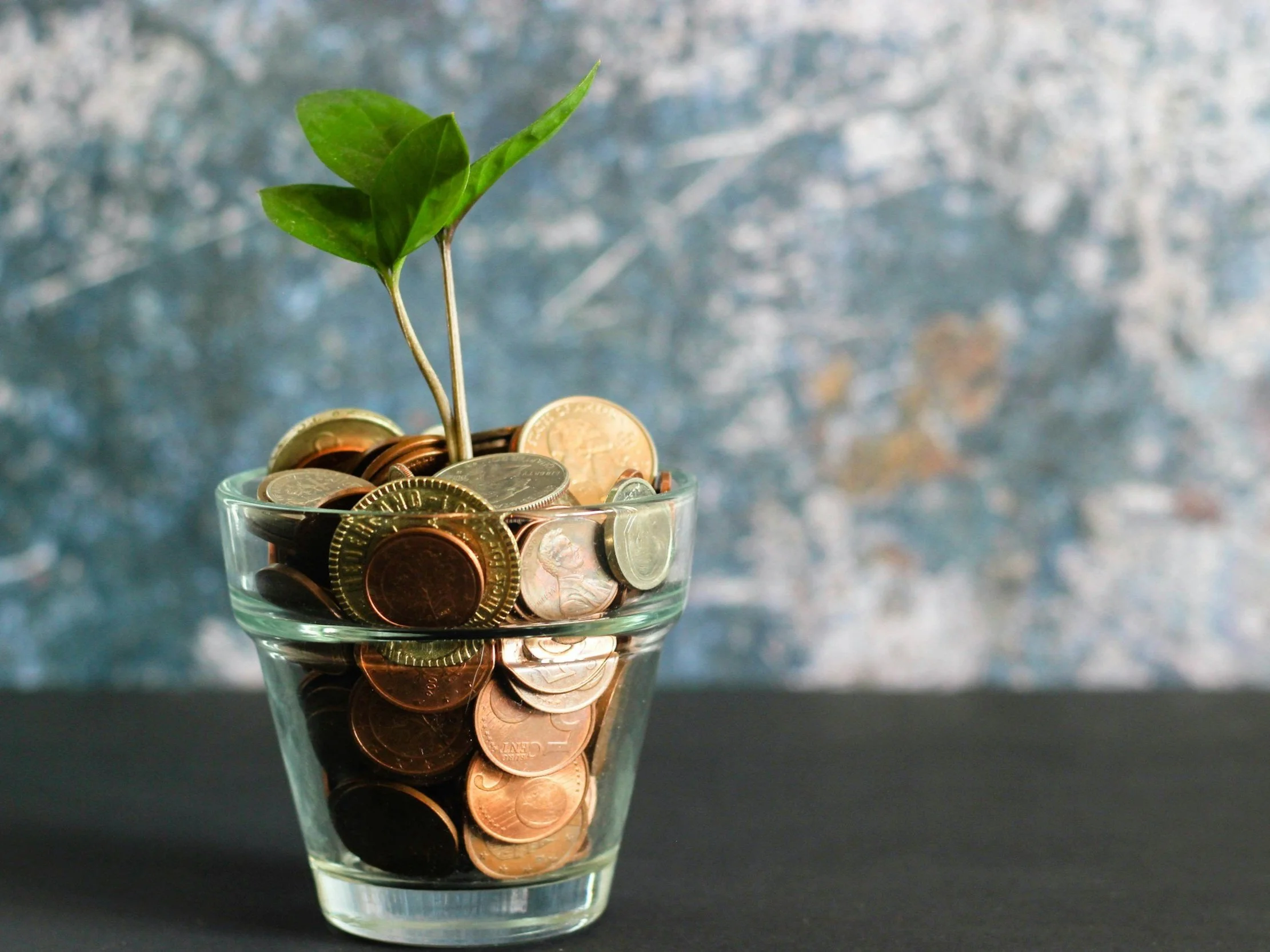 Stop Being Broke and Start Earning: Your First Investment is Not What You Think