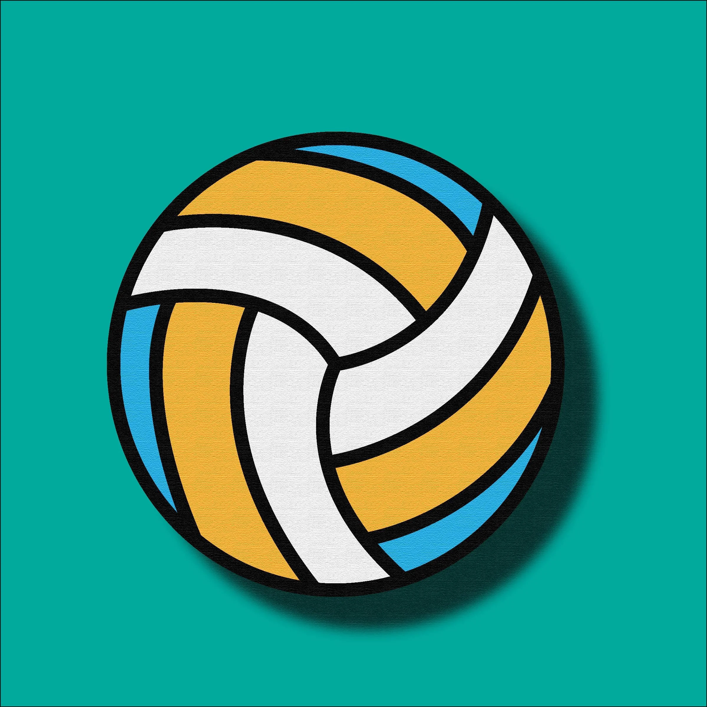 Vballl-01.jpg
