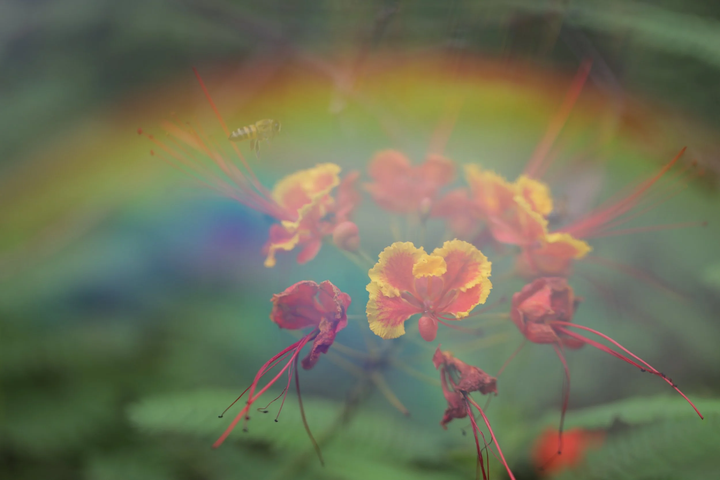 The Metaverse vs. The Holographic Universe 