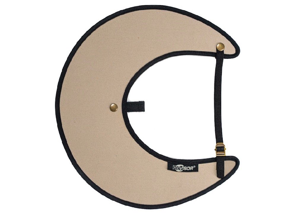 reverse visor.jpg