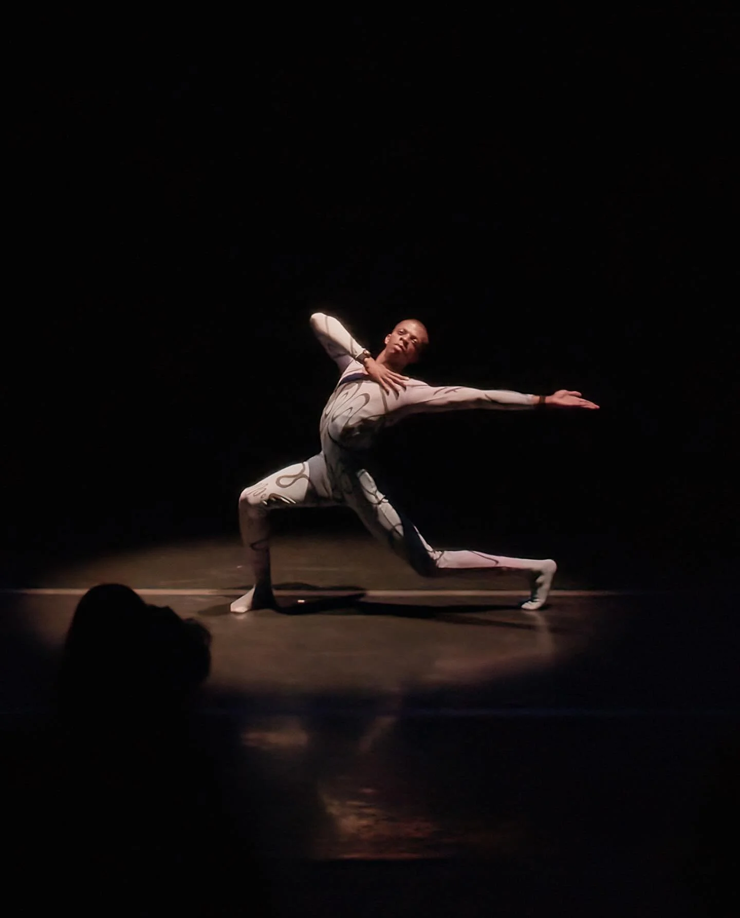 &ldquo;Each dancer&rsquo;s solo has a different feel&hellip; I&rsquo;ve always wanted to know what a Gargouillade sounded like.&rdquo;

&mdash; Breegan Kearney for @presentingdenver

Costumes by Julia Luyties @jluy.xoxo
Lighting by Sam Botnick
Image 