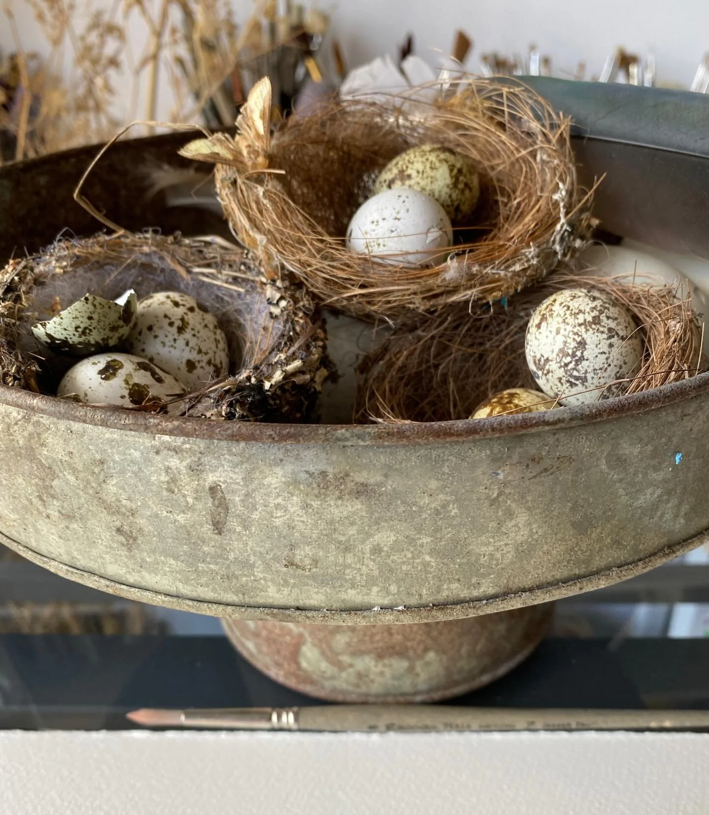 Assemblage of nests and storm- tossed lichen branches form such inspiration for my Nest Egg Series.
Number 5 in the series is underway and all will be revealed during December.

One of my favourite #saunderswaterfordpaper  has become a favourite for 