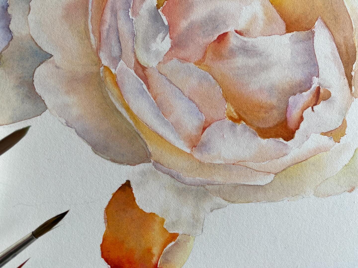 Friends, as the festive season gathers pace, I&rsquo;m slowing down with a coffee to smell the roses &mdash; quite literally. 🪻💐☕️

Summer has arrived on a wave of fragrance, and my garden is overflowing with its first glorious flush of blooms. The