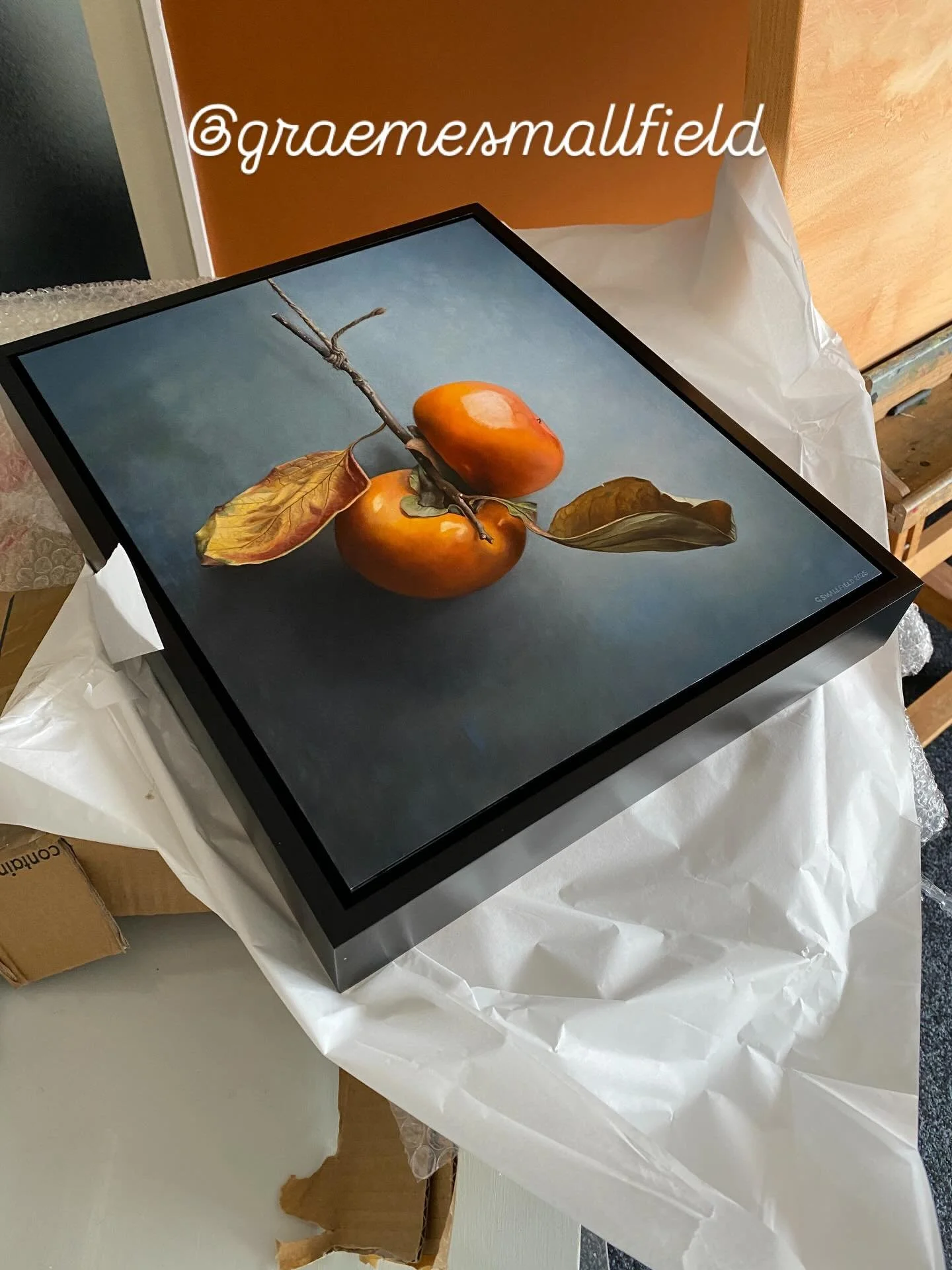 Every artist should, where possible, collect work of other artists they admire, right?

Graeme Smallfield&rsquo;s &lsquo;Persimmons&rsquo; is my gorgeous xmas present this year and joins my collection ranks of @ursula.romero.arte , @tracy.stamatakos 