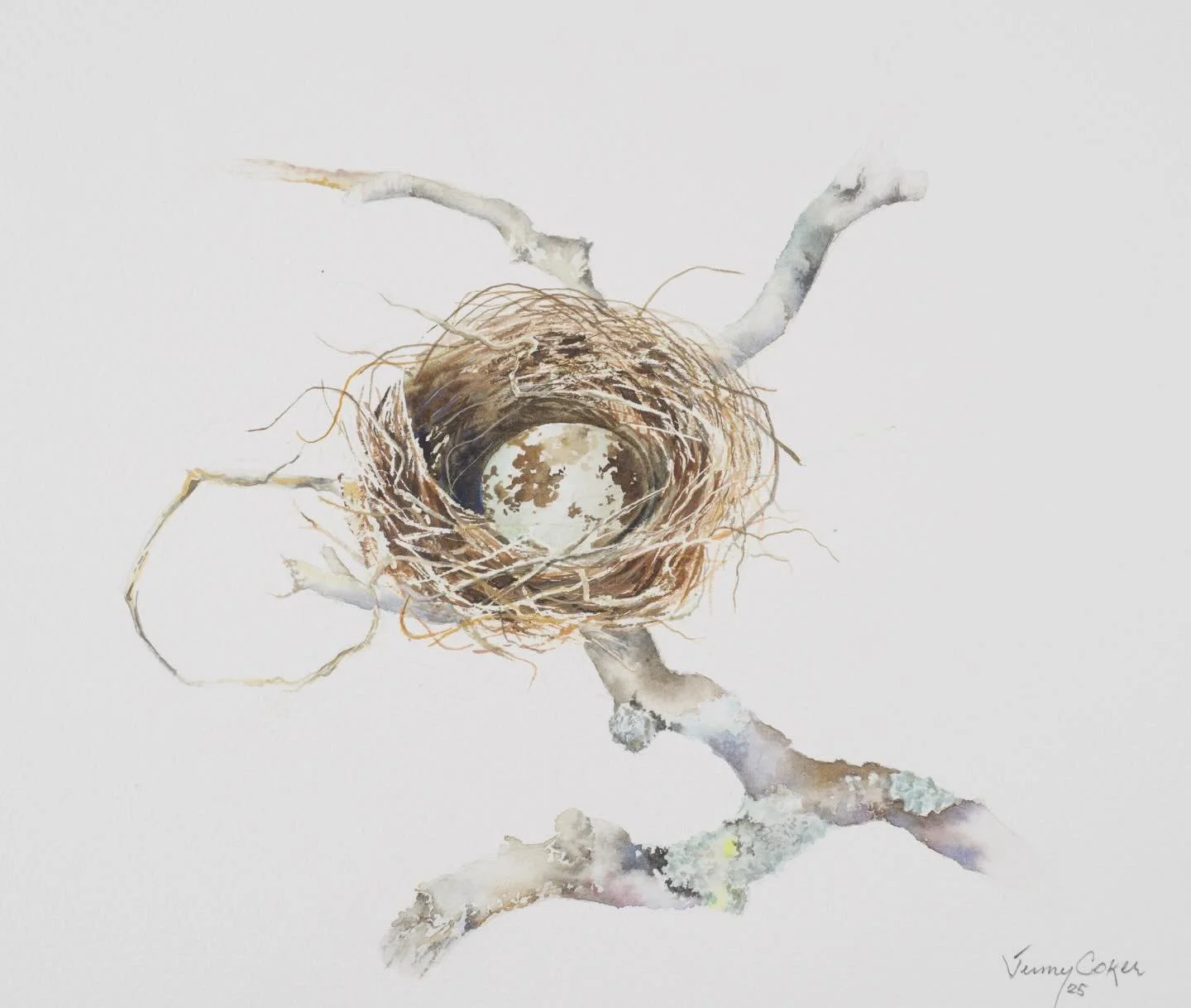 Nest Eggs took me over in September with a return to some of my favourite subjects. Eggs and nests. Hearth and home. New life and nurture. All the good vibes!

I was invited to &lsquo;create a suite of art&rsquo; to enhance new commercial offices for