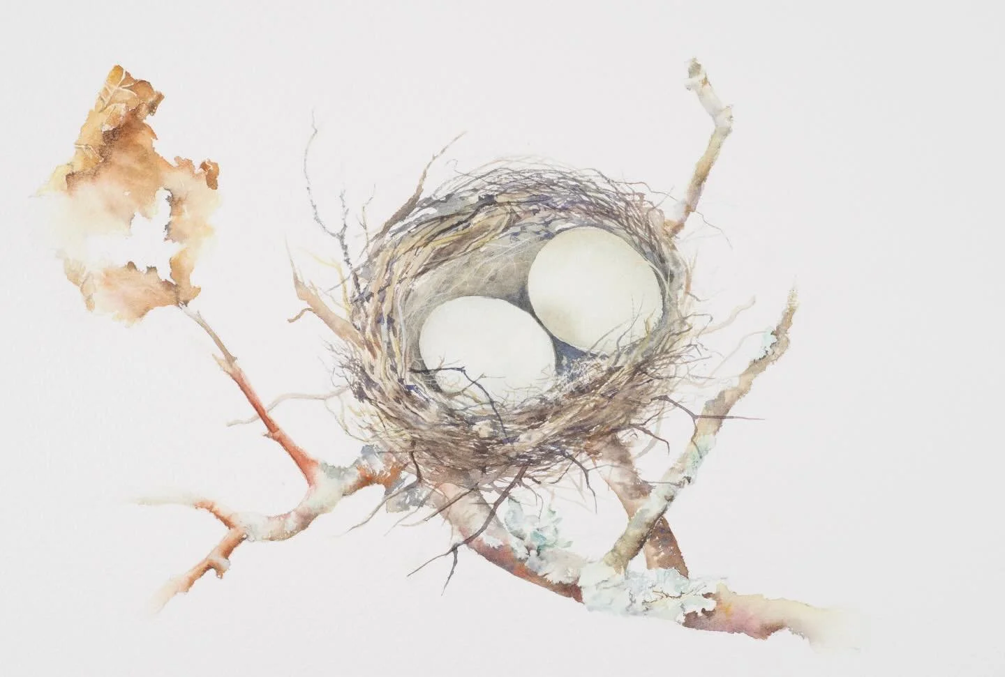 Continuing the Nest Eggs as Watercolour, pen and ink infused this five-piece story.

NEST EGG II
A second little &ldquo;deposit&rdquo; arrives later in
the season - two eggs nestled together as
autumn settles in. A touch of lichen suggests
resilience