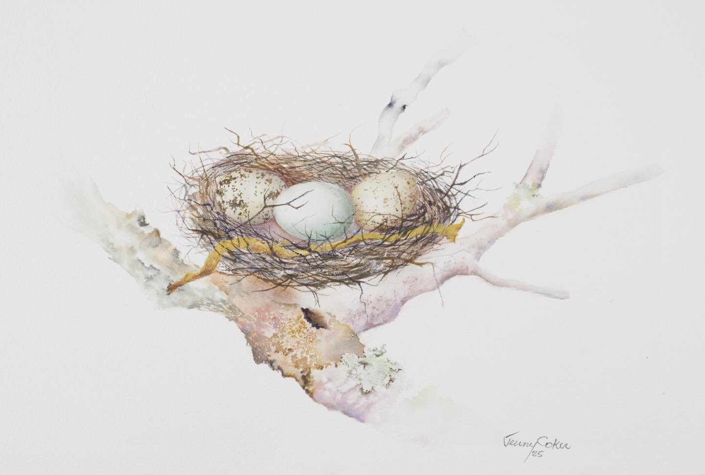 Continuing the Nest Egg story with Watercolour, pen, ink as creative analogy of investment for a new office suite&hellip;
NEST EGG III
The nest grows busier as more varieties
arrive. Colour and pattern hint at diversity
and adaptability, while subtle