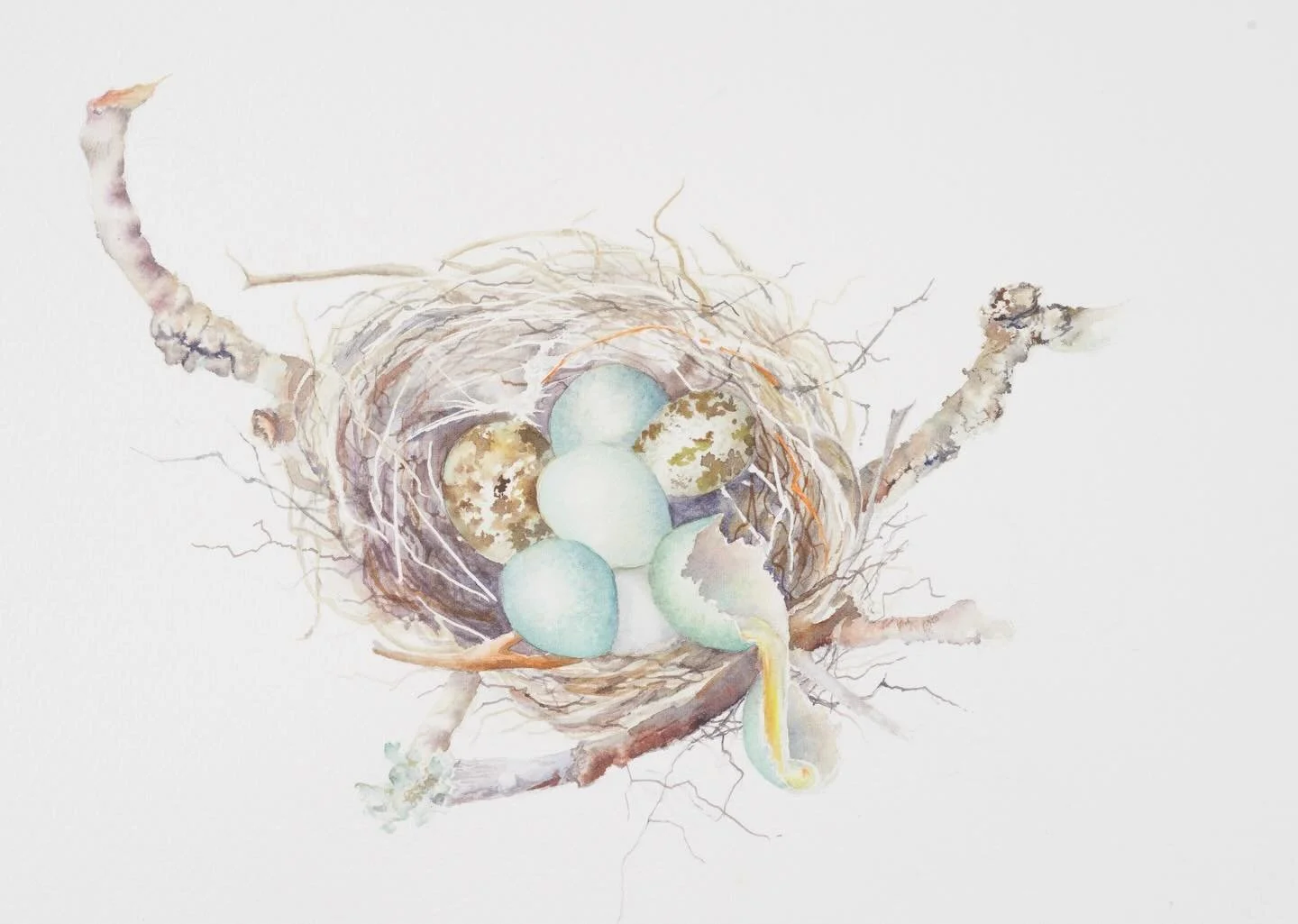 Continuing the Nest Egg story&hellip;

NEST EGG IV
One egg carries a fine crack-an echo of the
small bumps that appear on any journey.
Yet the nest remains steady, its mix of eggs
reminding us that diversity protects and
steadies the whole.

#nests #