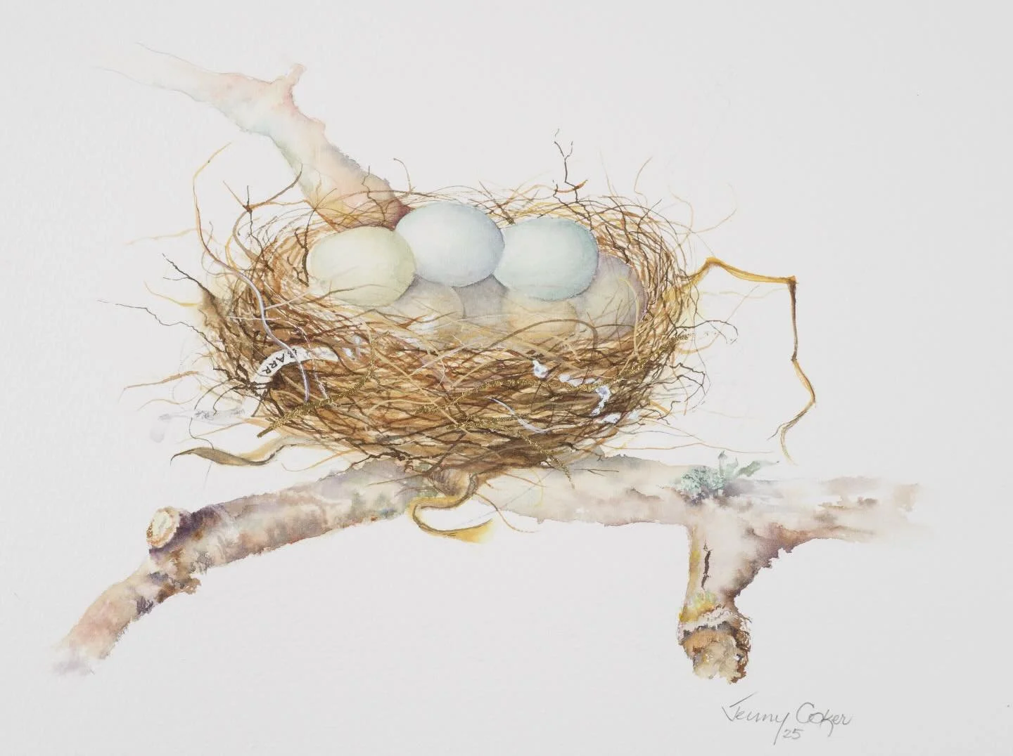 Completing the Nest Egg story is number five.

NEST EGG V
A full, abundant nest holding a lively mix
of eggs -an image of maturity, breadth and
balanced growth. A sliver of shredded Forsyth
Barr paper is woven in, linking renewal, care
and long-view 