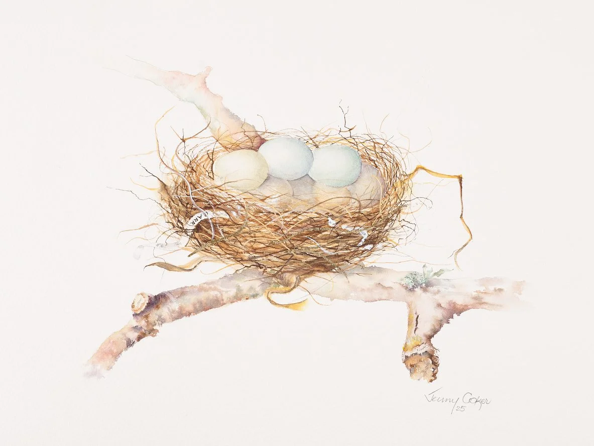Nest Eggs 5_web.jpg