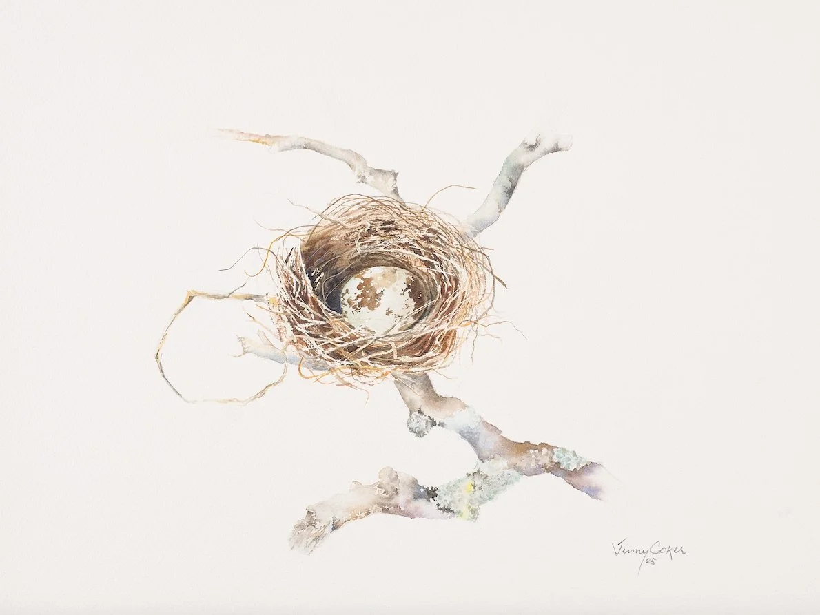 Nest Eggs 1_web.jpg