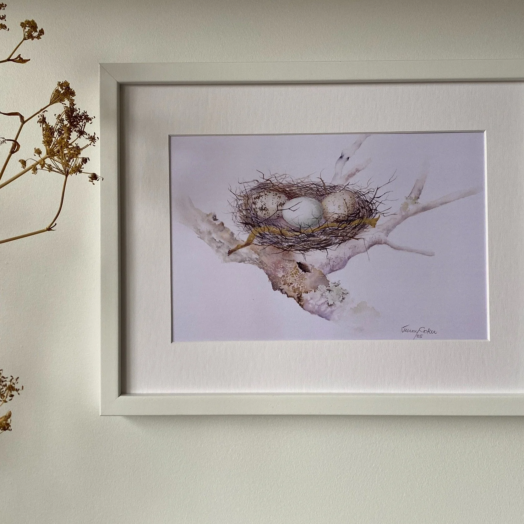 For the first time in five years, I&rsquo;m releasing prints of my paintings again.

The first series is my Nest Eggs Collection &mdash; small paintings inspired by one of nature&rsquo;s loveliest ideas. Birds gather what is at hand and patiently wea