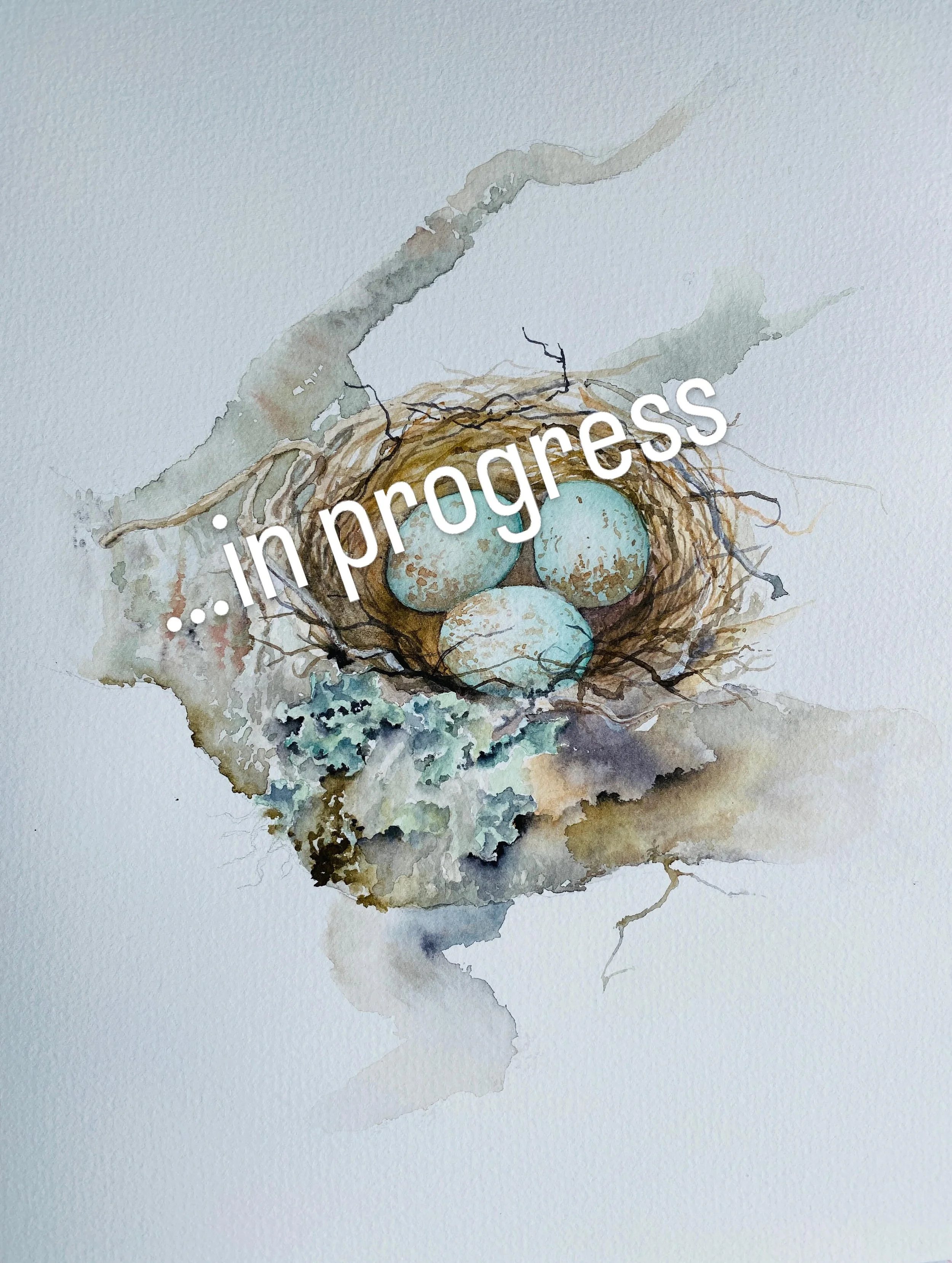 Here&rsquo;s a wee taste of my forthcoming Nest Eggs made in Texas: soon to return to NZ for completion and additional pieces currently pencilled up.
Check into my website for little nest&rsquo;s family. Feel totally free to invite me to paint a repr