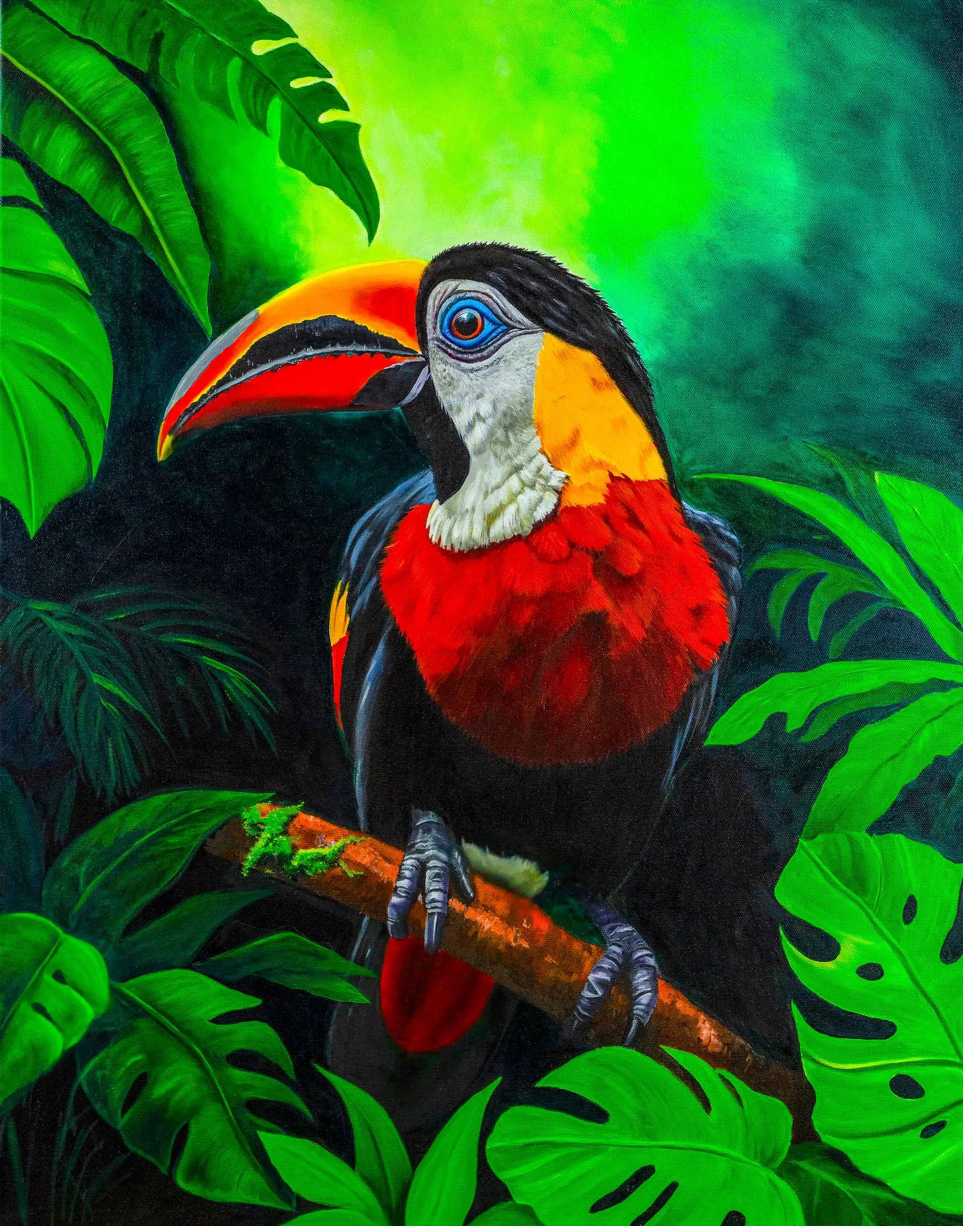 Toucan