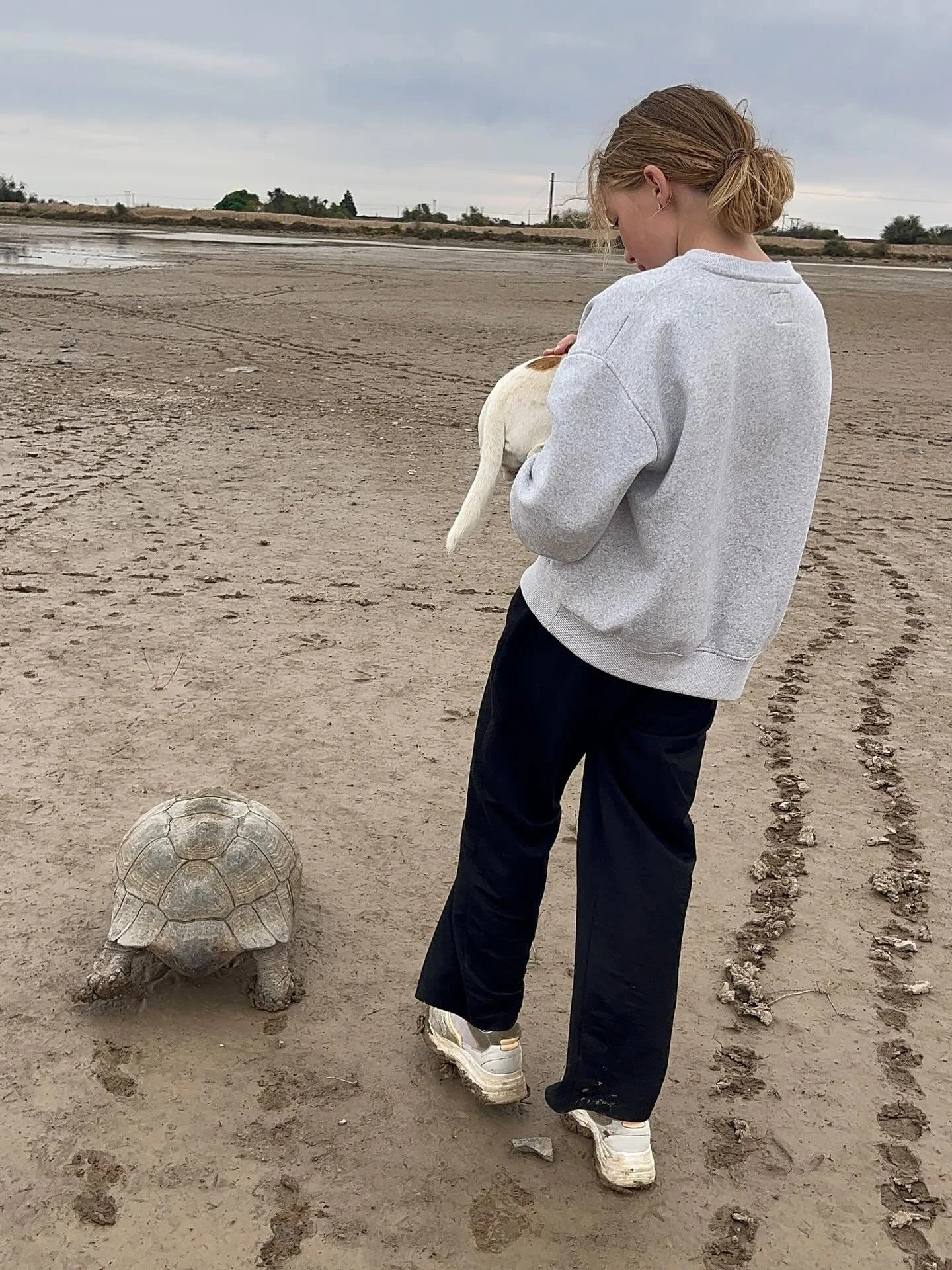 𝗧𝗵𝗲𝘆 𝘀𝗮𝘆: 𝗶𝗳 𝘆𝗼𝘂 𝗳𝗮𝗶𝗹 𝘁𝗼 𝗽𝗹𝗮𝗻, 𝘆𝗼𝘂 𝗽𝗹𝗮𝗻 𝘁𝗼 𝗳𝗮𝗶𝗹.

I agree and I disagree

But what does that have to do with adventure travel and with life after loss? Read on.

I&rsquo;ve just traversed Southern Africa from Cape T