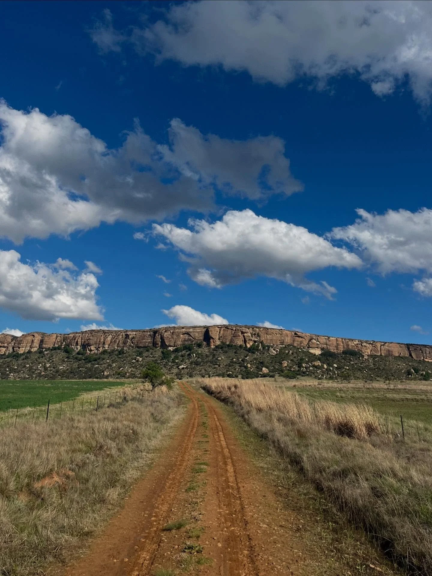 𝗜𝗻 𝗘𝘂𝗿𝗼𝗽𝗲 𝘆𝗼𝘂 𝗵𝗮𝘃𝗲 𝗮 𝘄𝗮𝘁𝗰𝗵, 
𝗶𝗻 𝗔𝗳𝗿𝗶𝗰𝗮 𝘄𝗲 𝗵𝗮𝘃𝗲 𝘁𝗶𝗺𝗲.

As cliche as it sounds, it captures a profound cultural truth.

In Europe (and the Western world in general), time is often treated as something to control: 