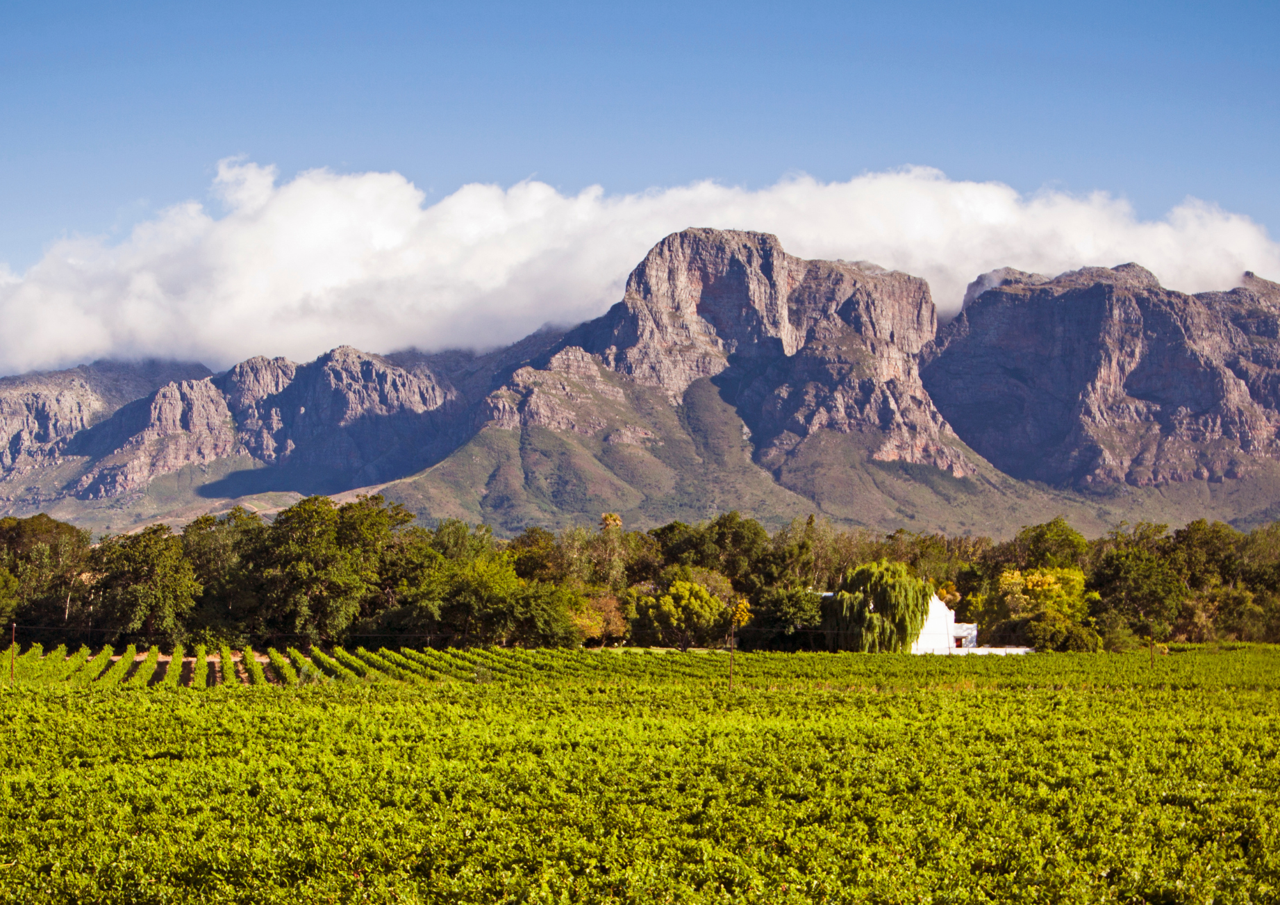 Untitled design(2).png