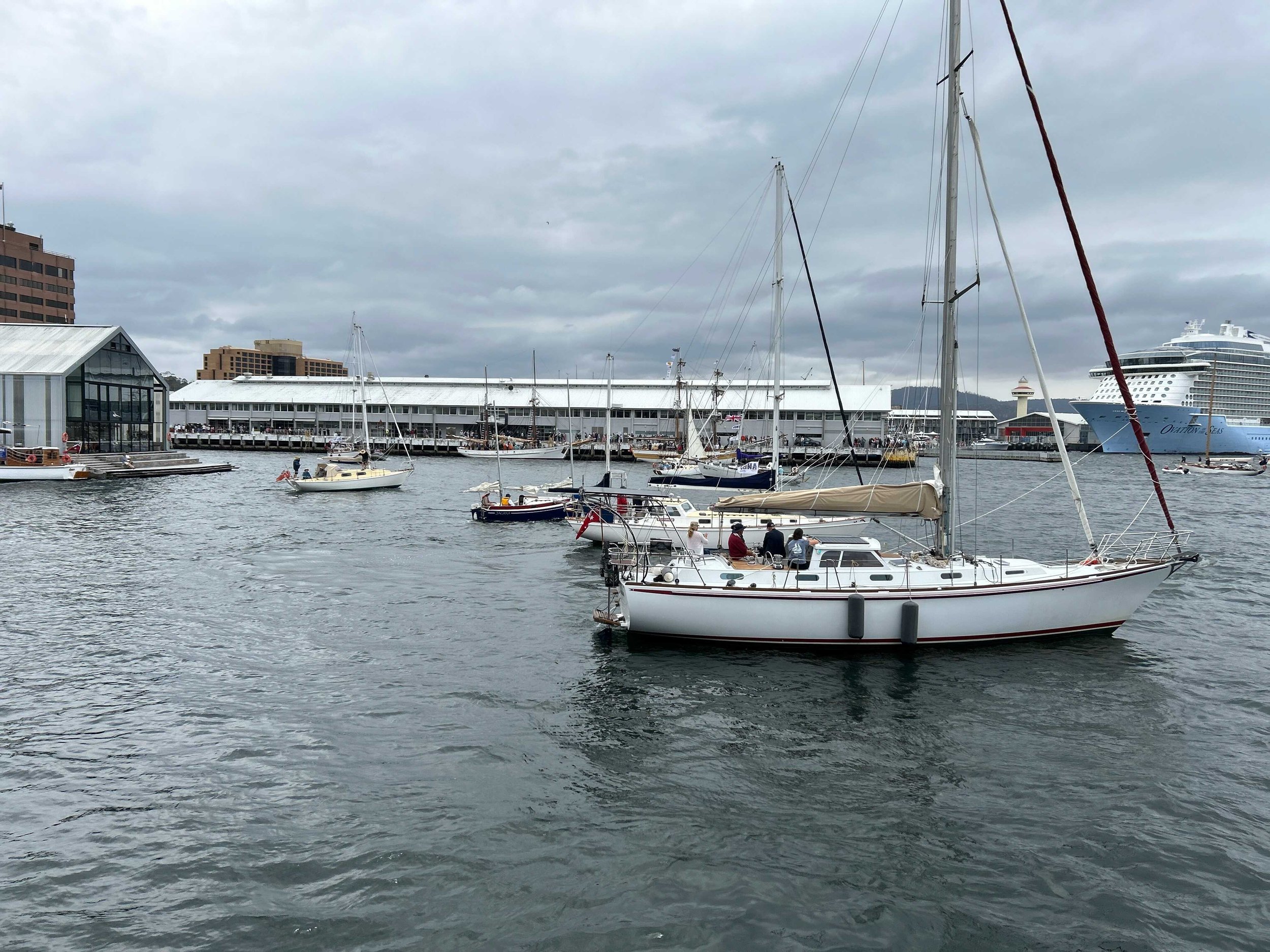 IMG_7207_comp.jpeg