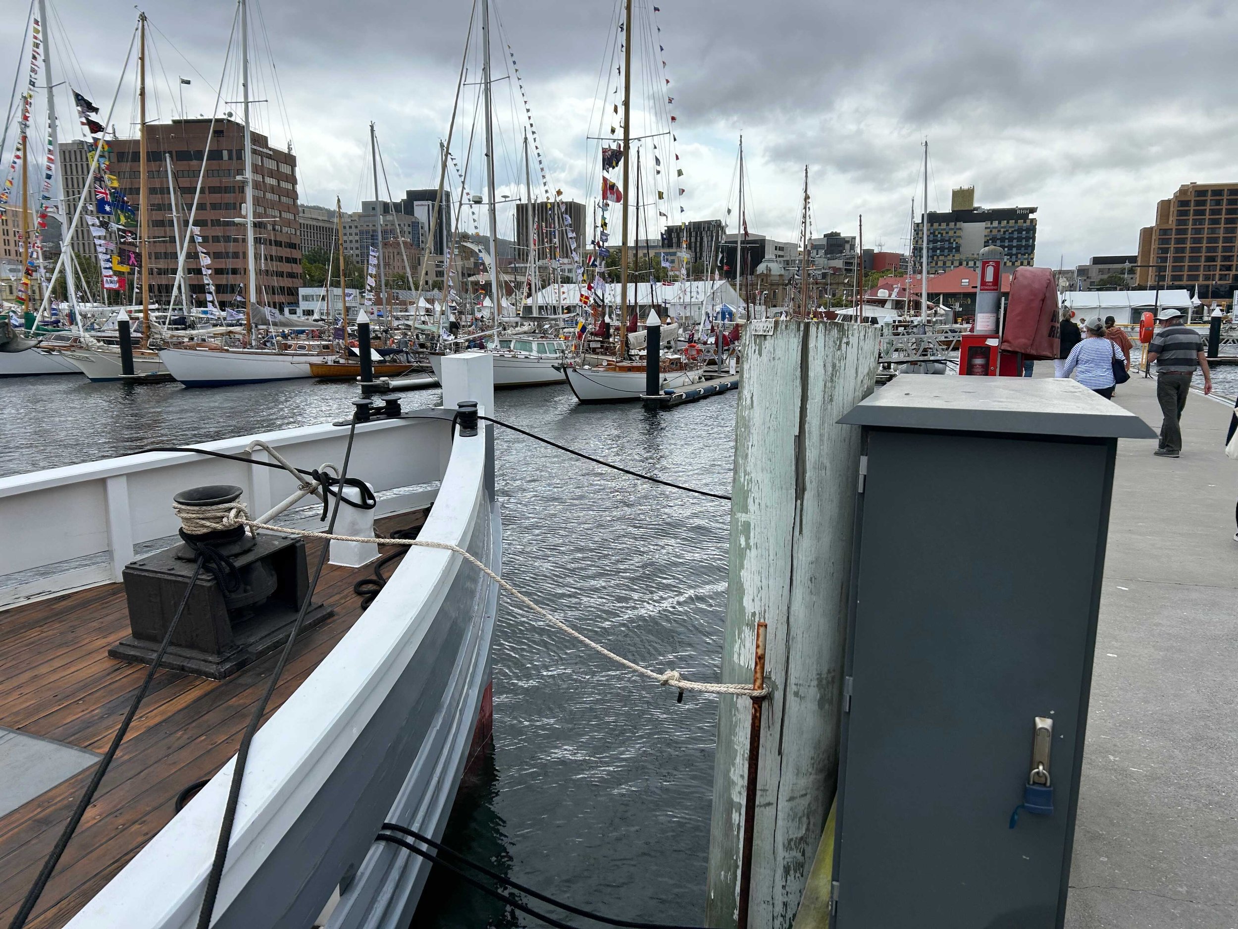 IMG_7303_comp.jpeg