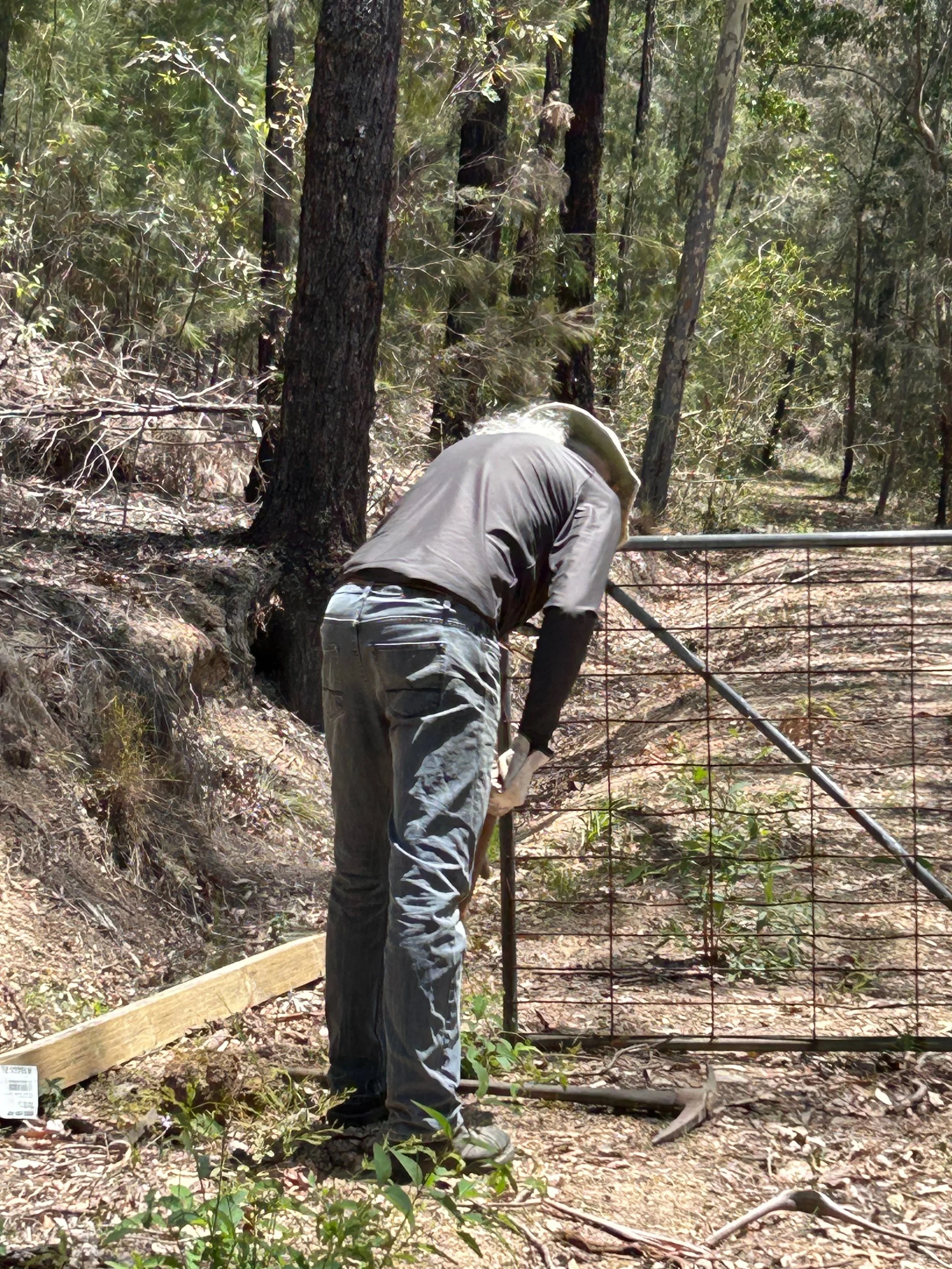 Lew sinks a new gatepost