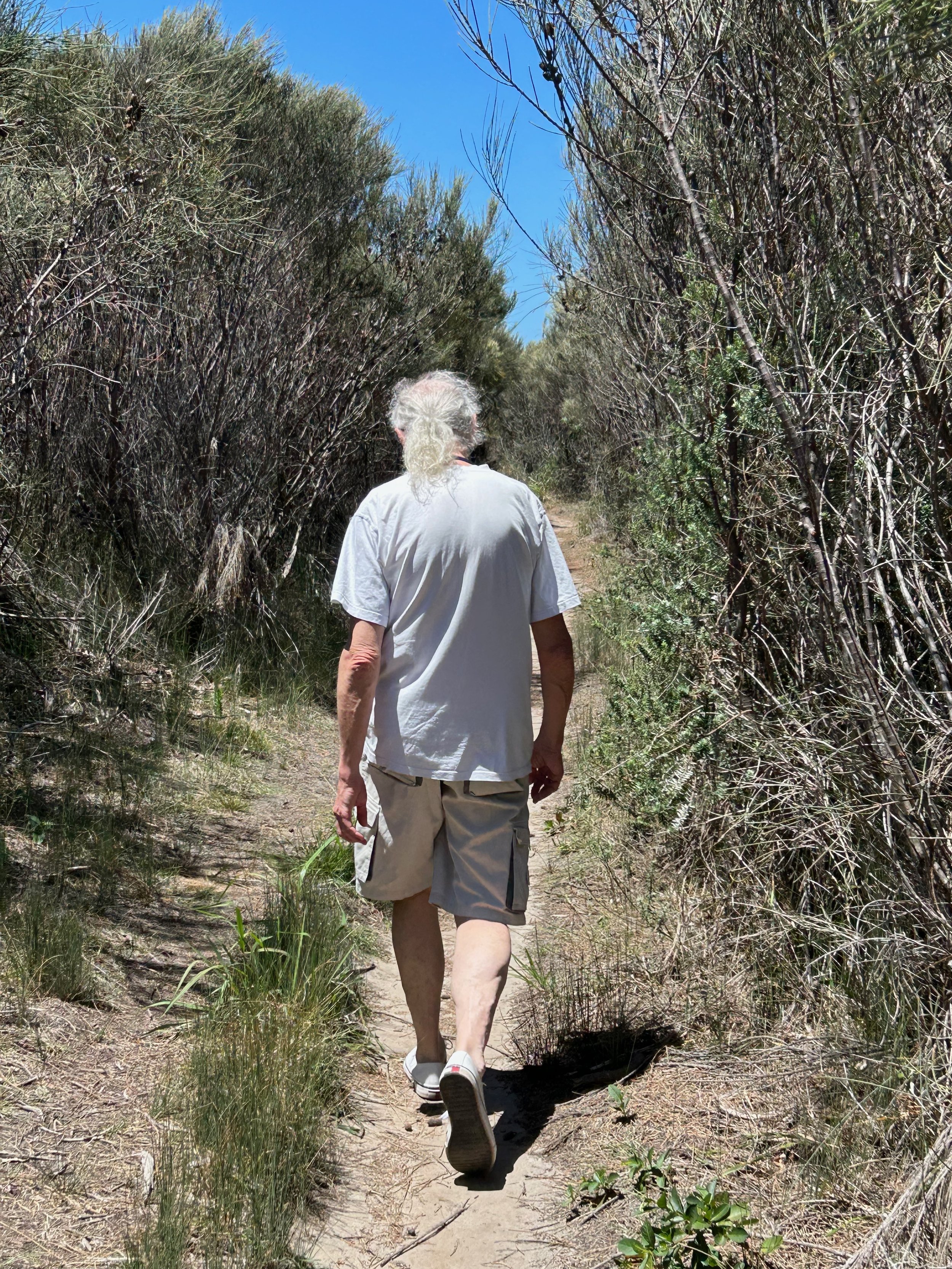 Walk this way