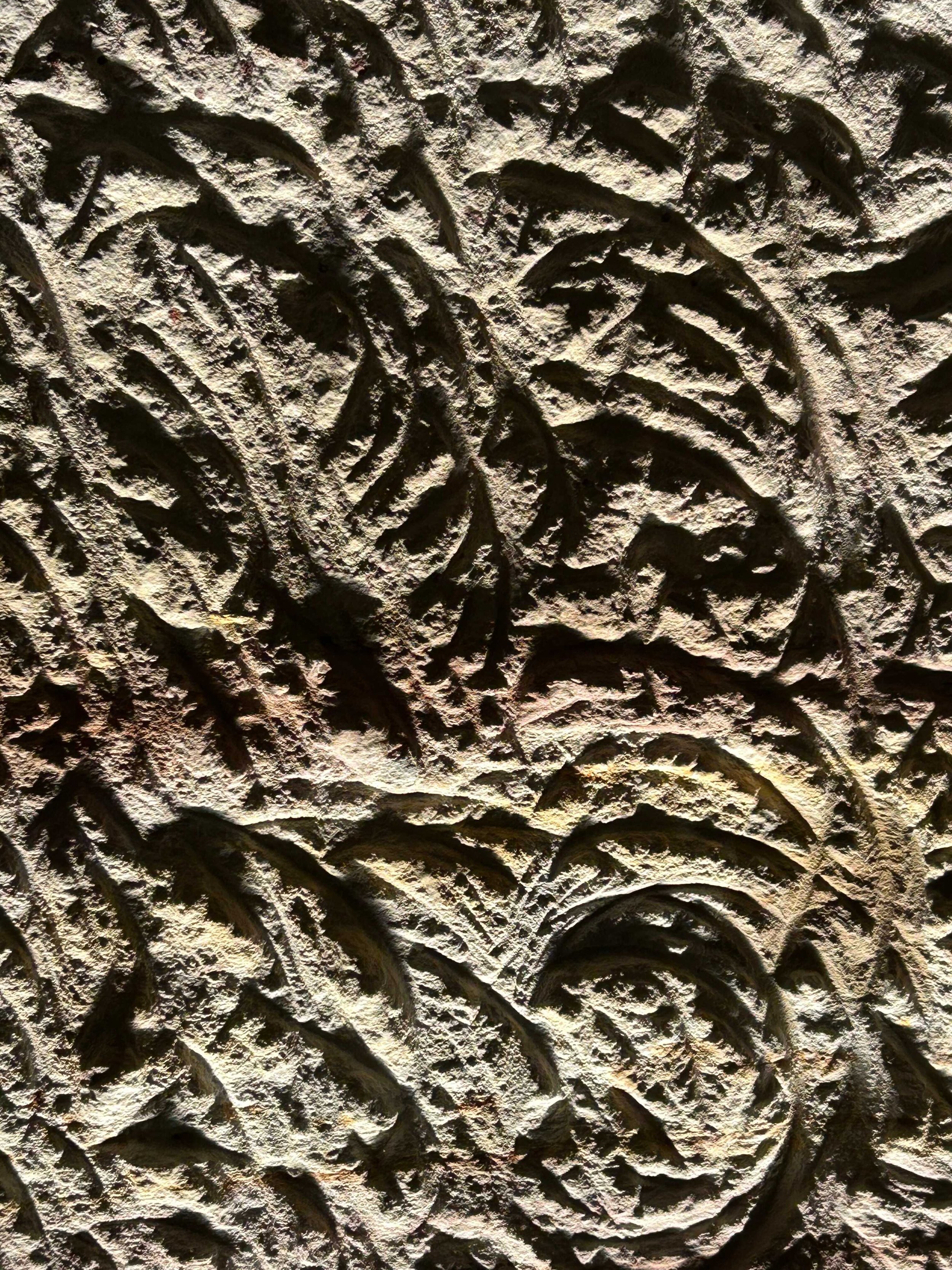 IMG_7491_comp.jpeg