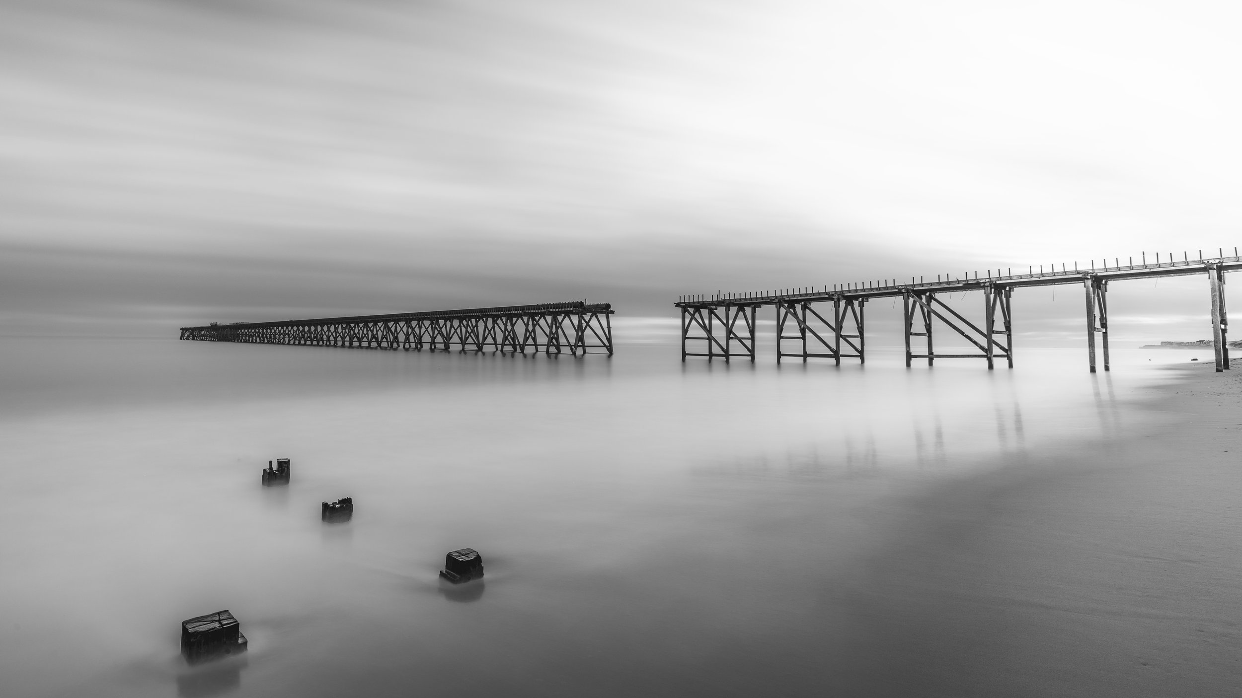 BnW (3).jpg