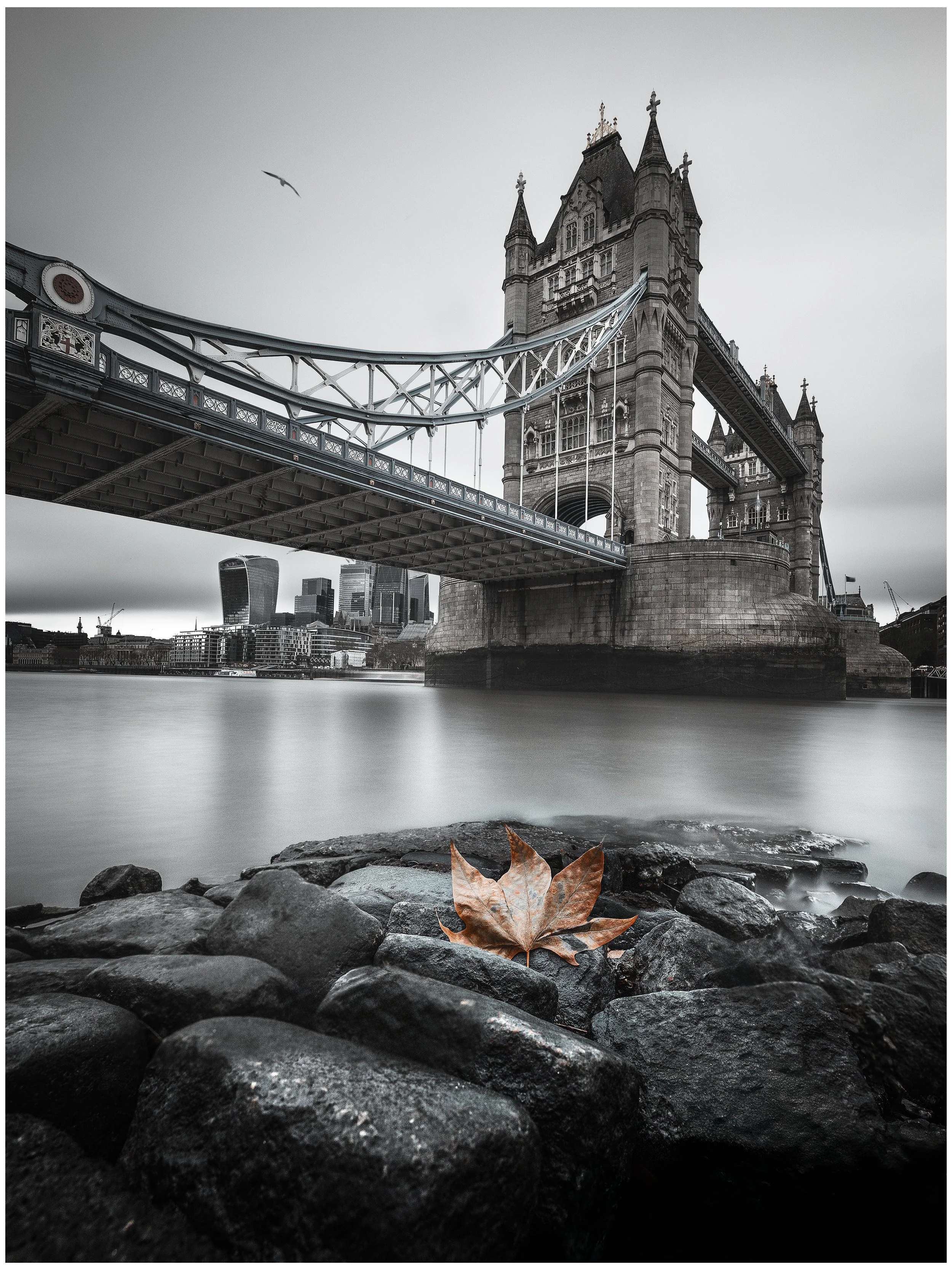 PRINT (A3) Leaf on the Thames