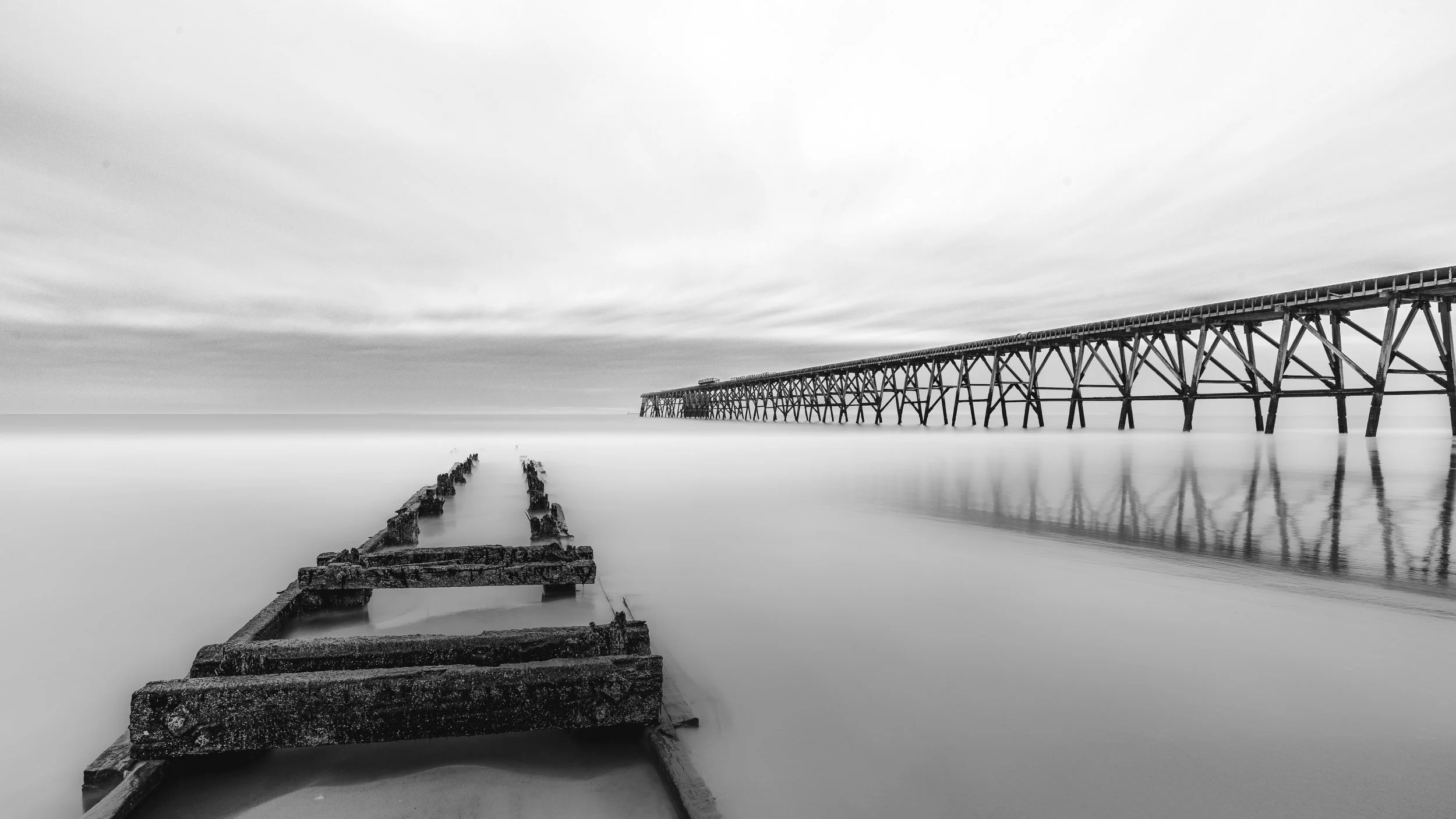 BnW (2).jpg