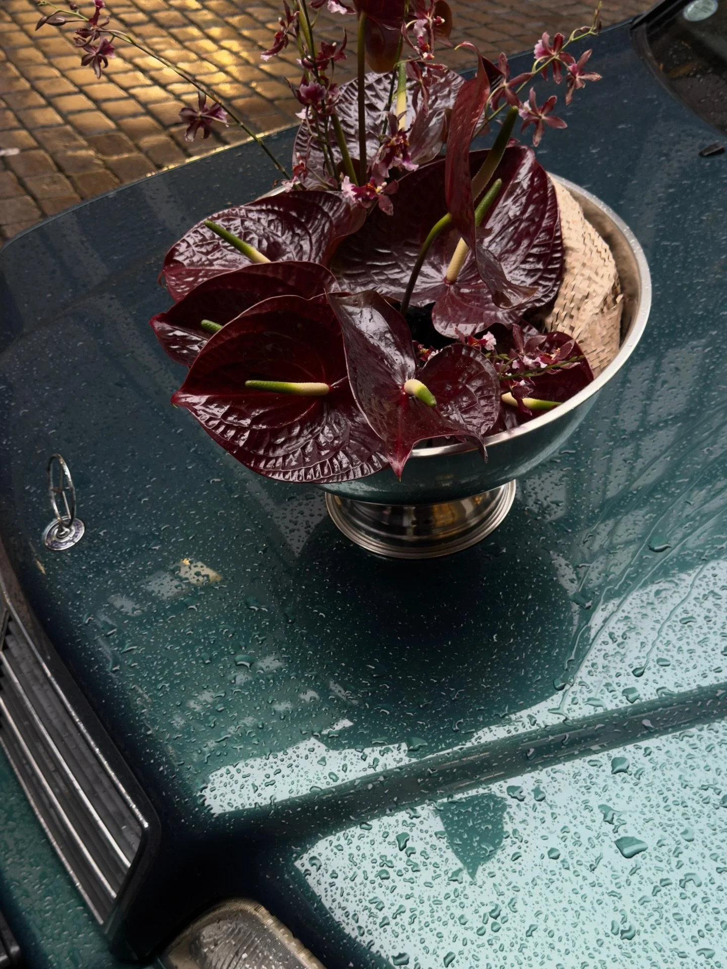 being my own pinterest board ✨

pictures by:
1) @nadja.groos 
2 &amp; 5) me @aestheticscare.official 
3) @laurastamenkovic_ 
4) @atelier.femform