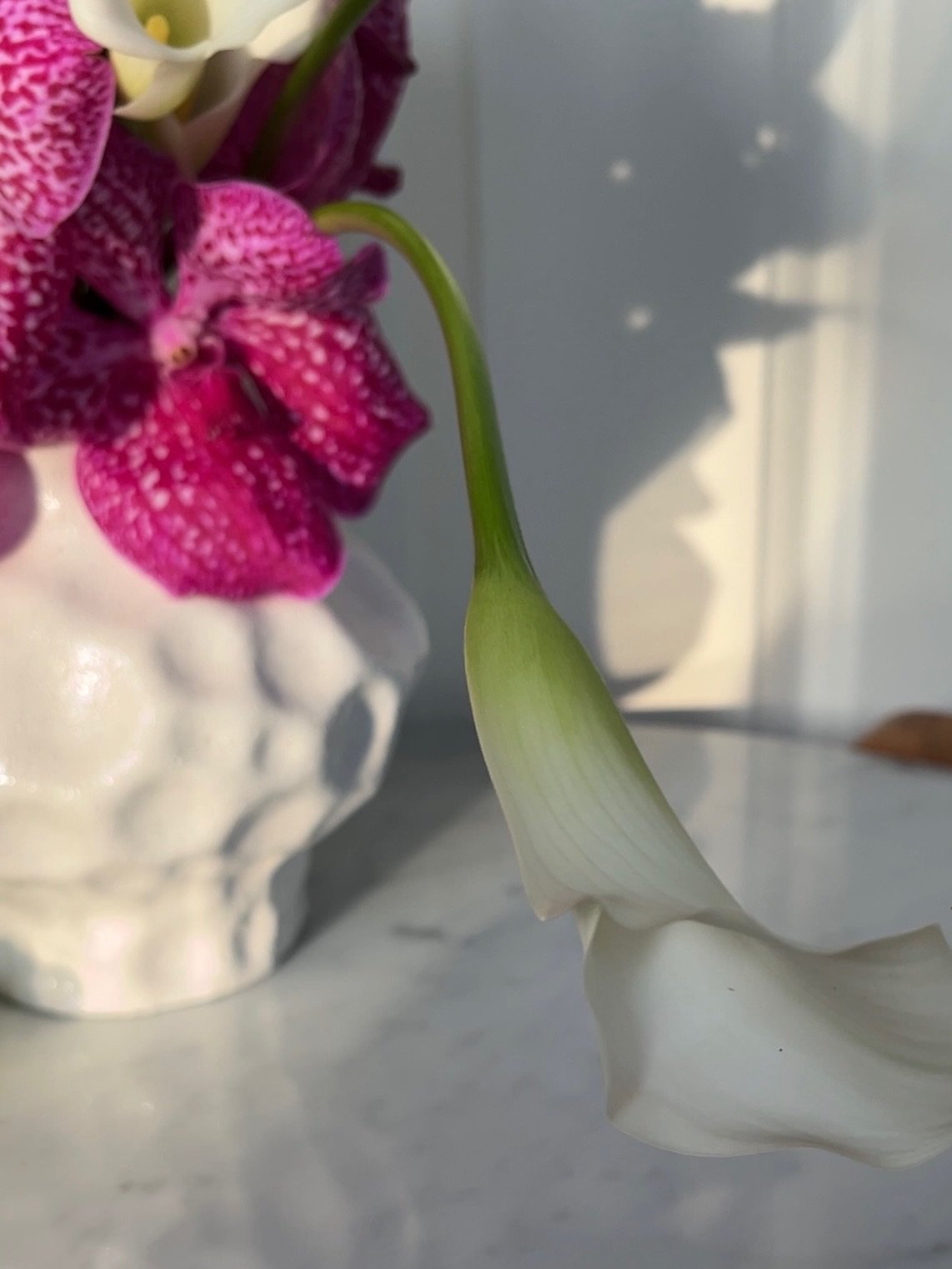 vanda orchid 🤝 amaranthus 🤝 callas 
for the cutest @atelier.kunstbruecke