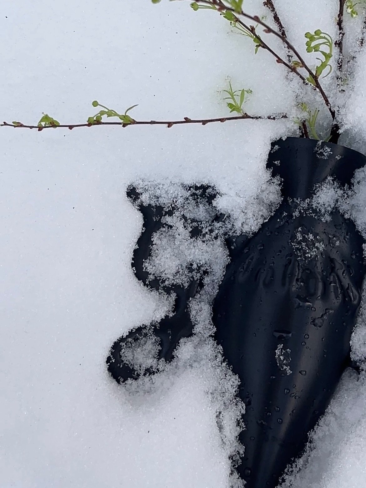 snow day 🖤❄️
with @great.at.studio x @k.i.l_design