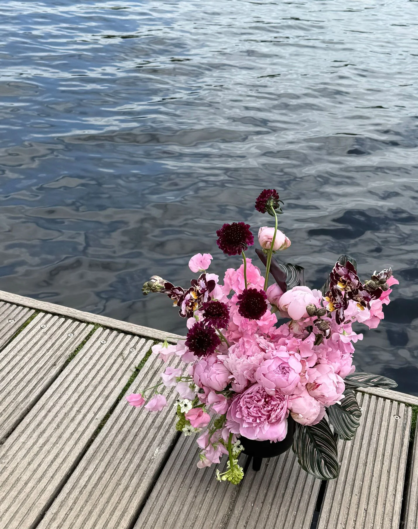 A vibrant floral arrangement featuring pink peonies, dark purple and pink sweet William, and striped foliage in a black vase, placed on a wooden dock by a rippling body of water.
