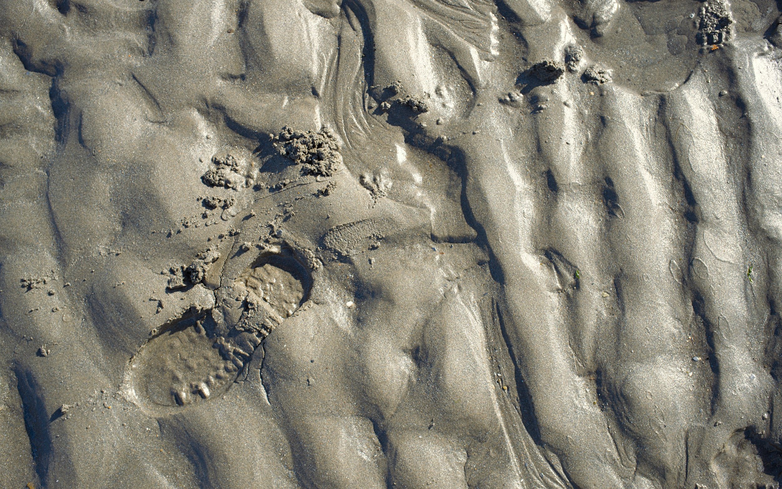footprint in wet sandy mud with textured ripples