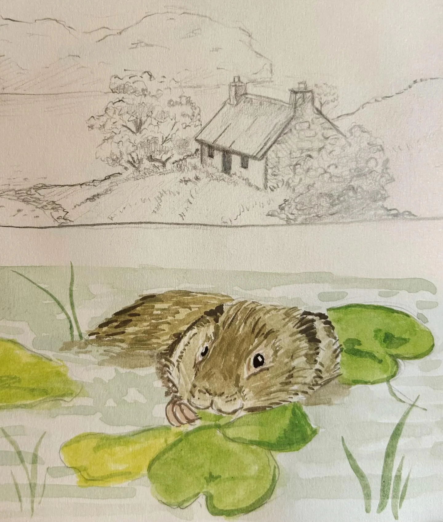 A little bit of my camera role:
1. Starting with quick sketches done in my sketchbook recently. I find houses really difficult but so many ideas I have involve them 
2. The place we are living now is changing everyday with the Spring and it&rsquo;s b