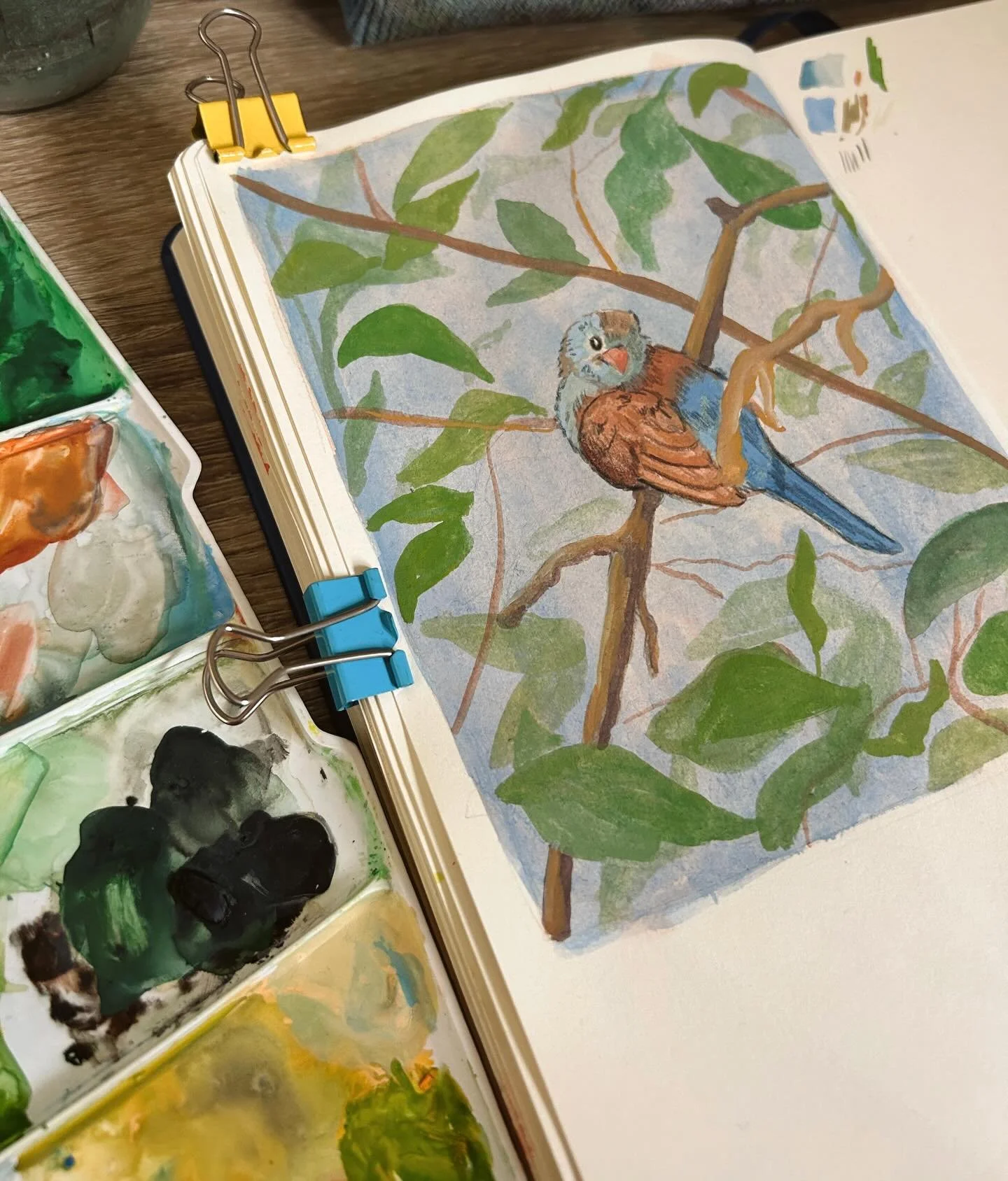 A little sketchbook painting to keep me going using a photo reference to practice painting the two blue tones together on the little birdy 

I have a couple of exciting things coming up, including a painting being displayed at @fronteergallery in She