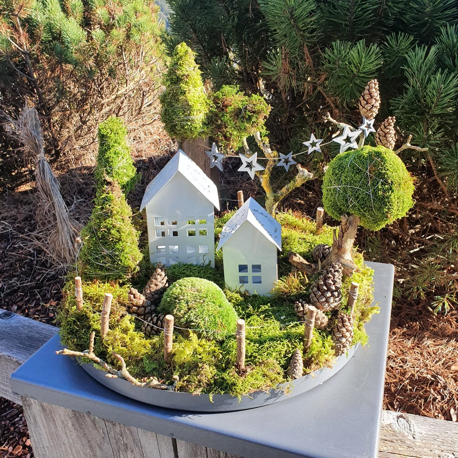 WhatsApp Image 2025-02-26 at 20.23.23 (1).jpeg