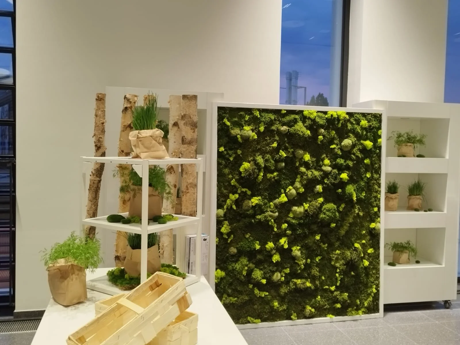 WhatsApp Image 2025-02-26 at 20.01.37.jpeg