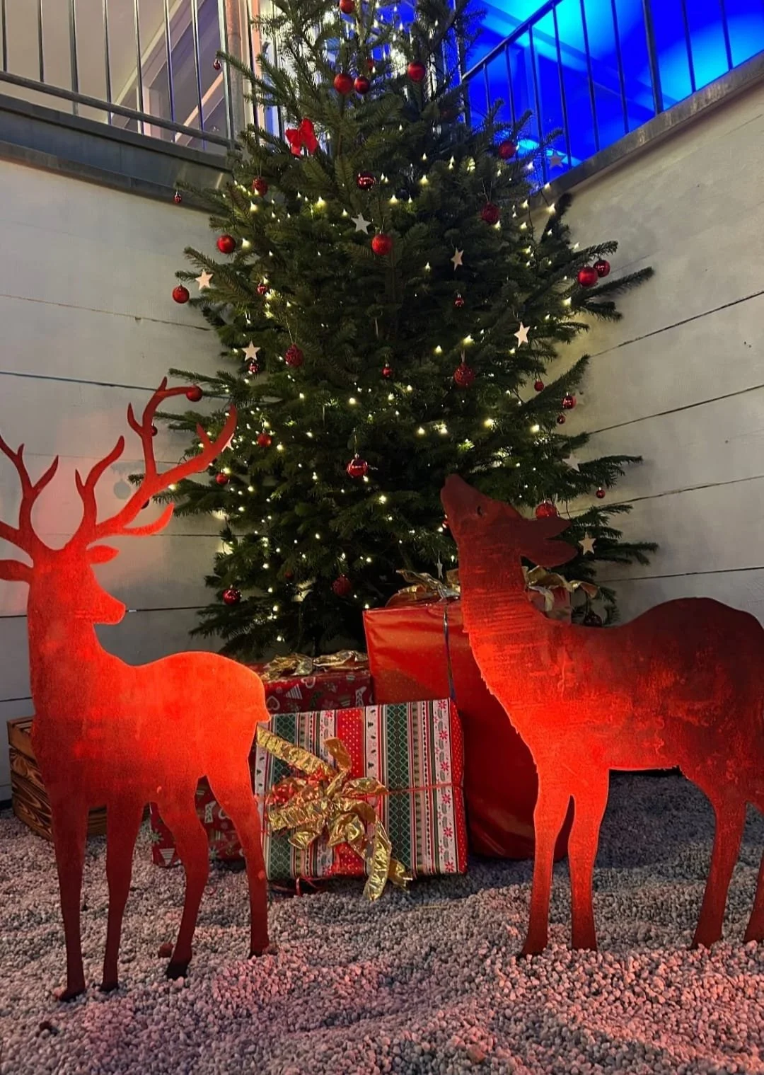 WhatsApp Image 2025-02-26 at 20.06.57.jpeg