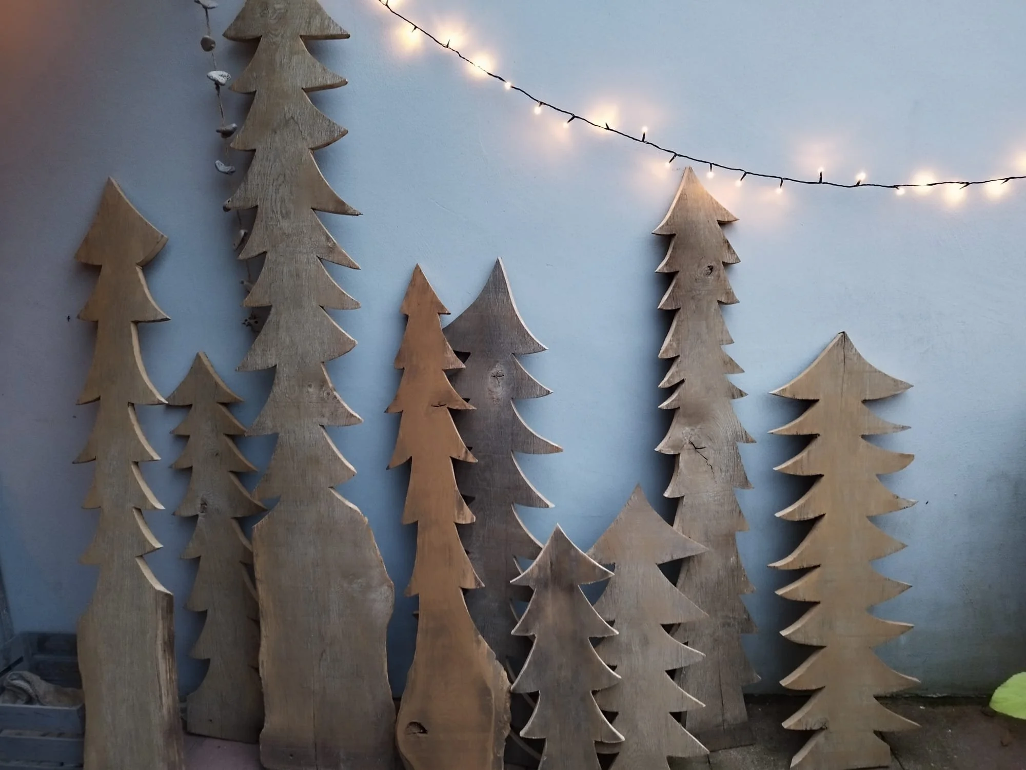 WhatsApp Image 2025-02-26 at 20.00.10.jpeg