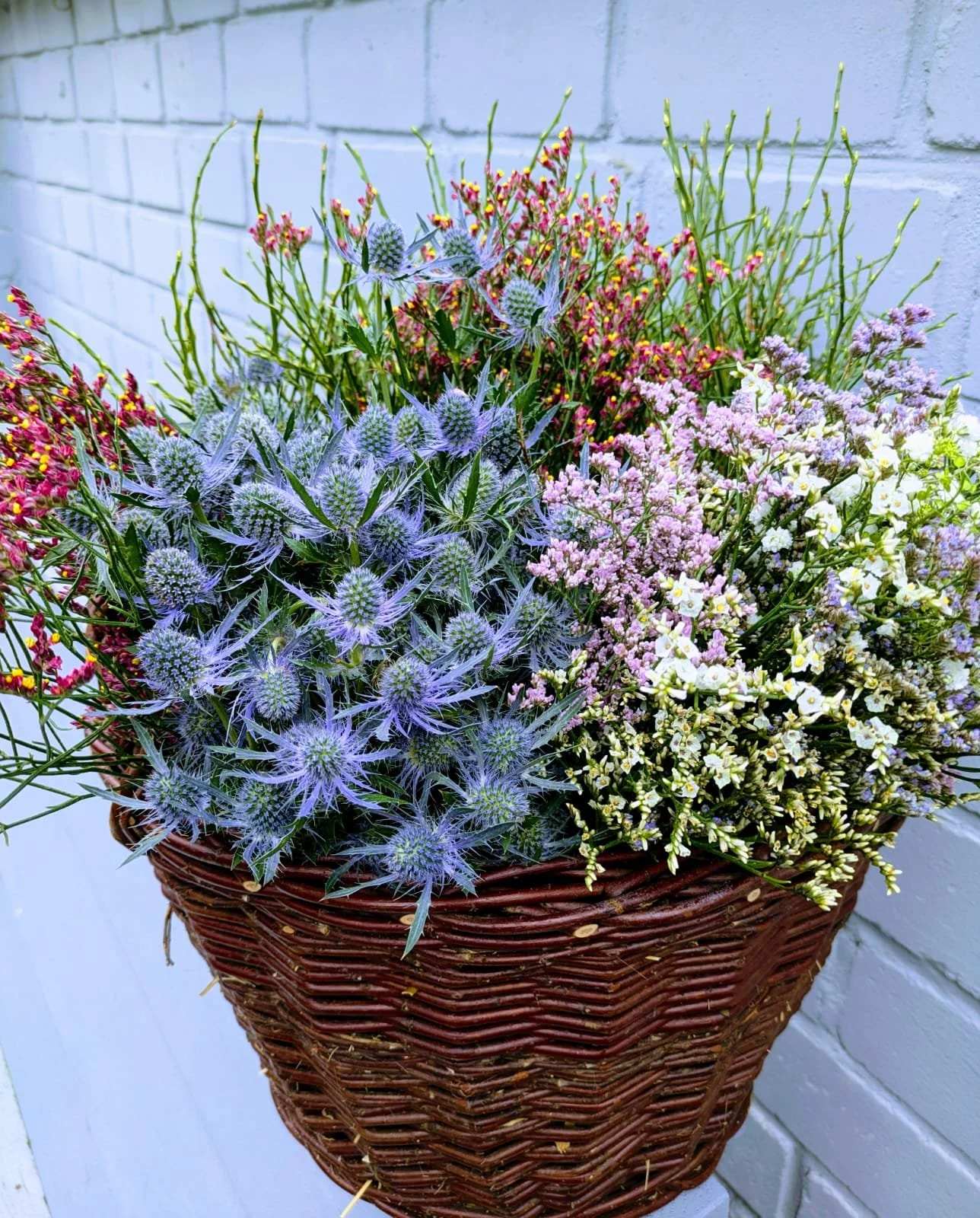 WhatsApp Image 2025-02-26 at 20.13.58 (1).jpeg