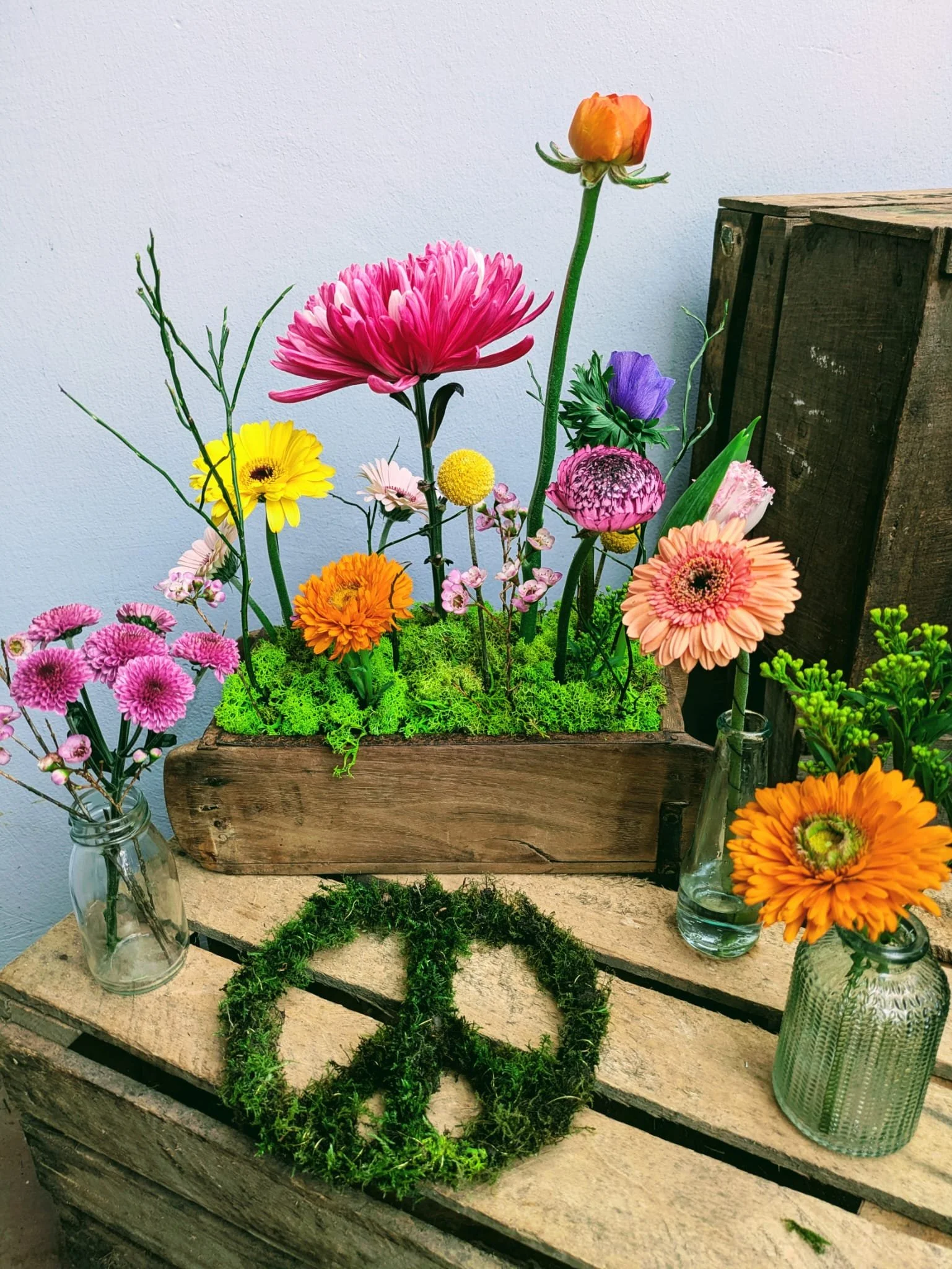 WhatsApp Image 2025-02-26 at 20.15.27.jpeg