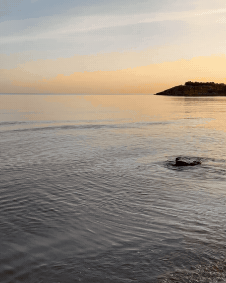Untitled - 17 June 2026 at 09.13.46-3.gif