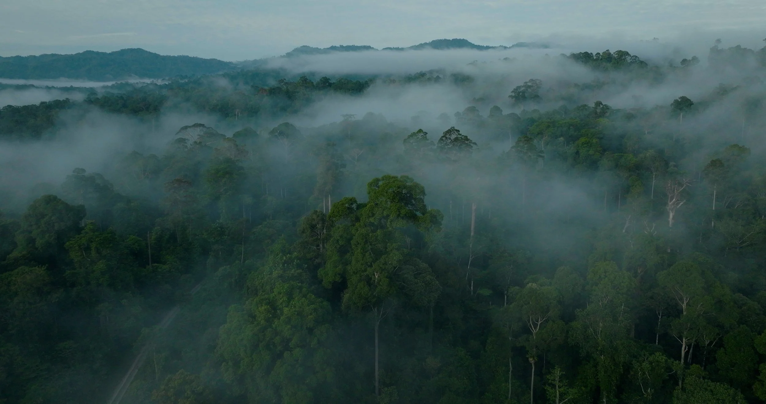 FX6A_0044.06_58_16_06.Still062 2.JPG