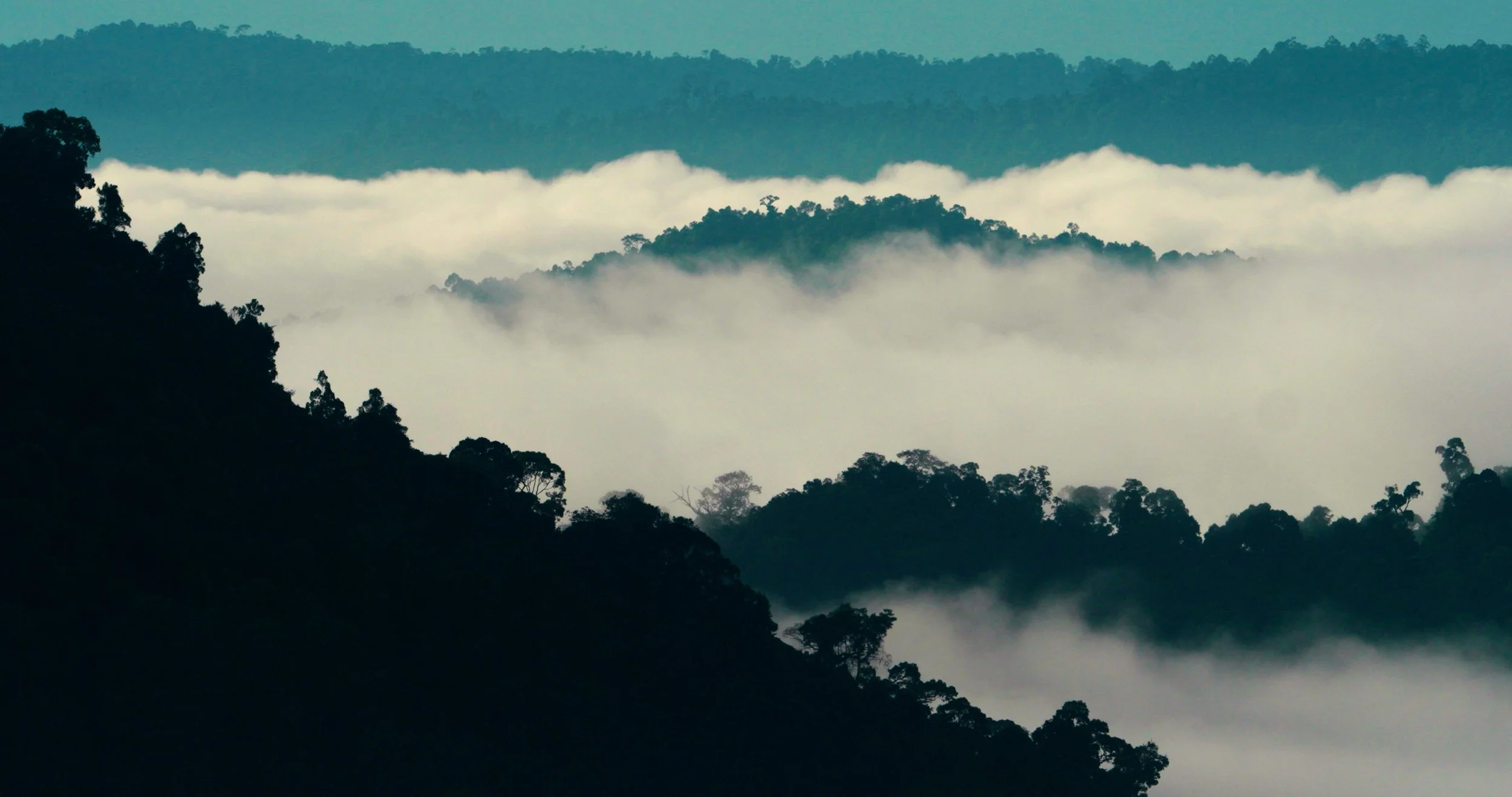 FX6A_0044.07_24_06_12.Still066 2.JPG