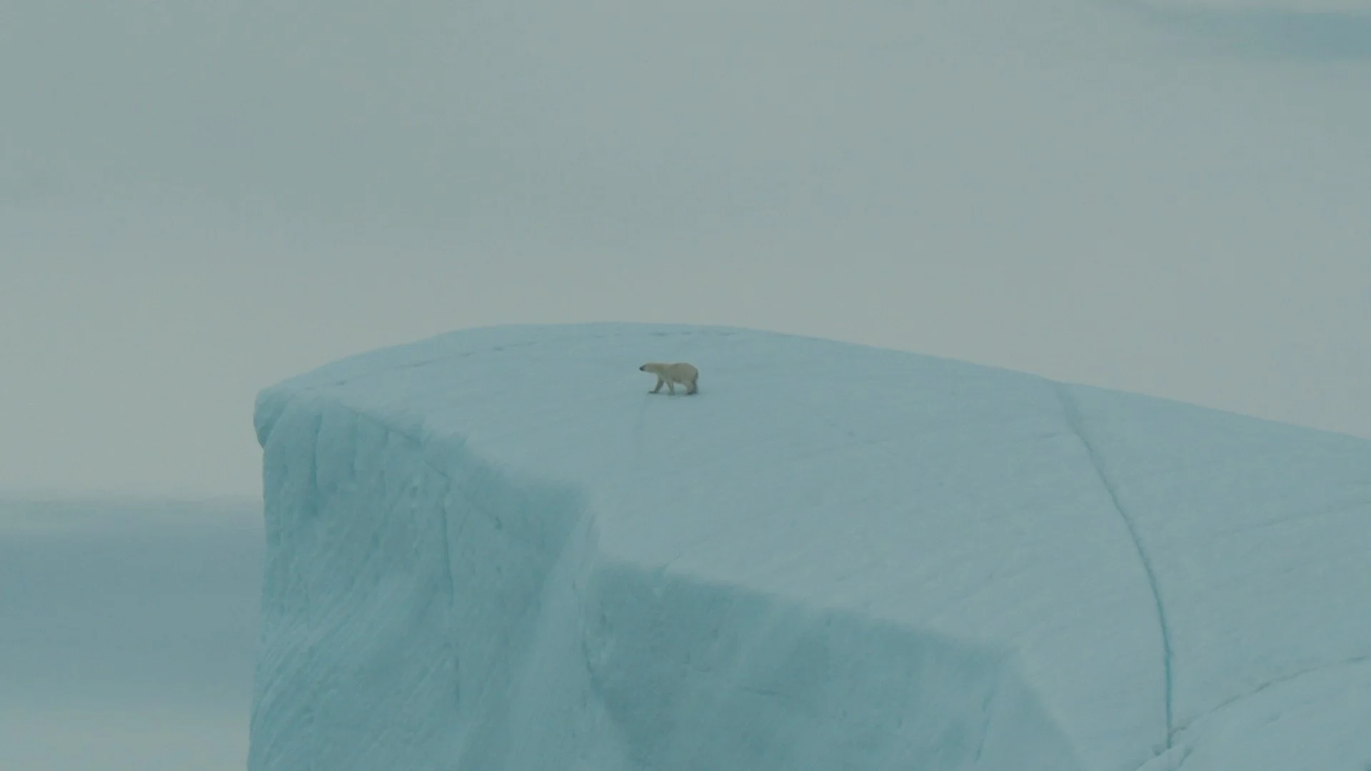 Sequence 01.00_13_59_02.Still006.JPG