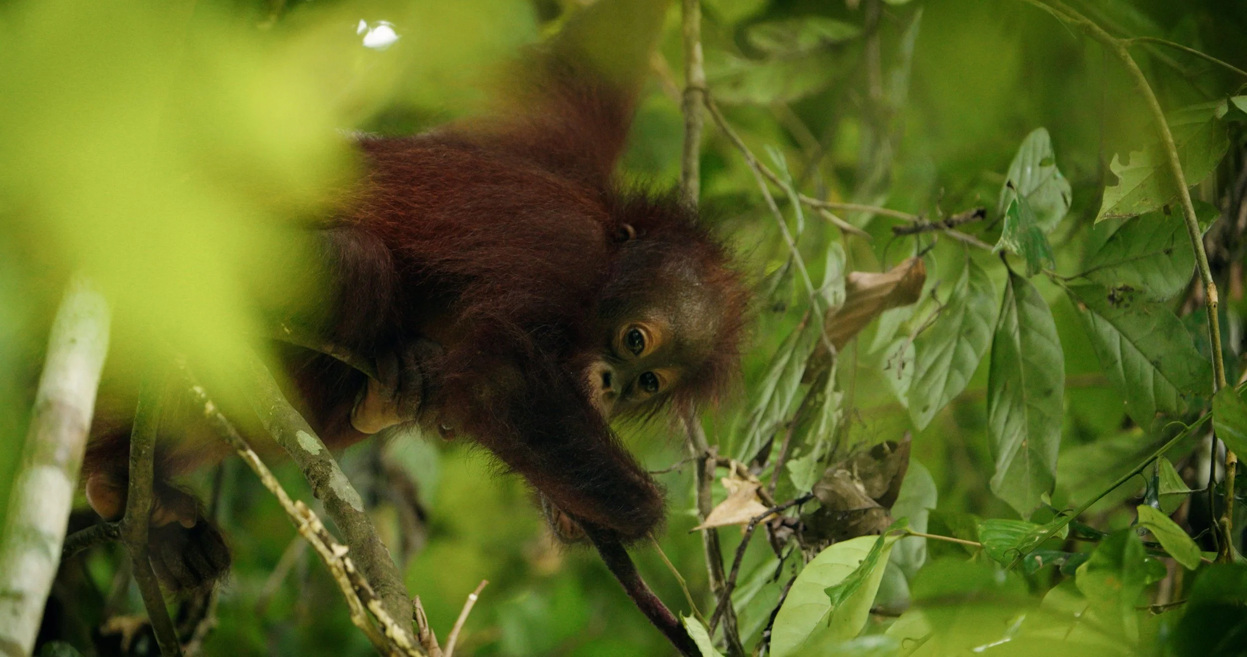 FX6A_0044.07_13_40_13.Still069 2.JPG