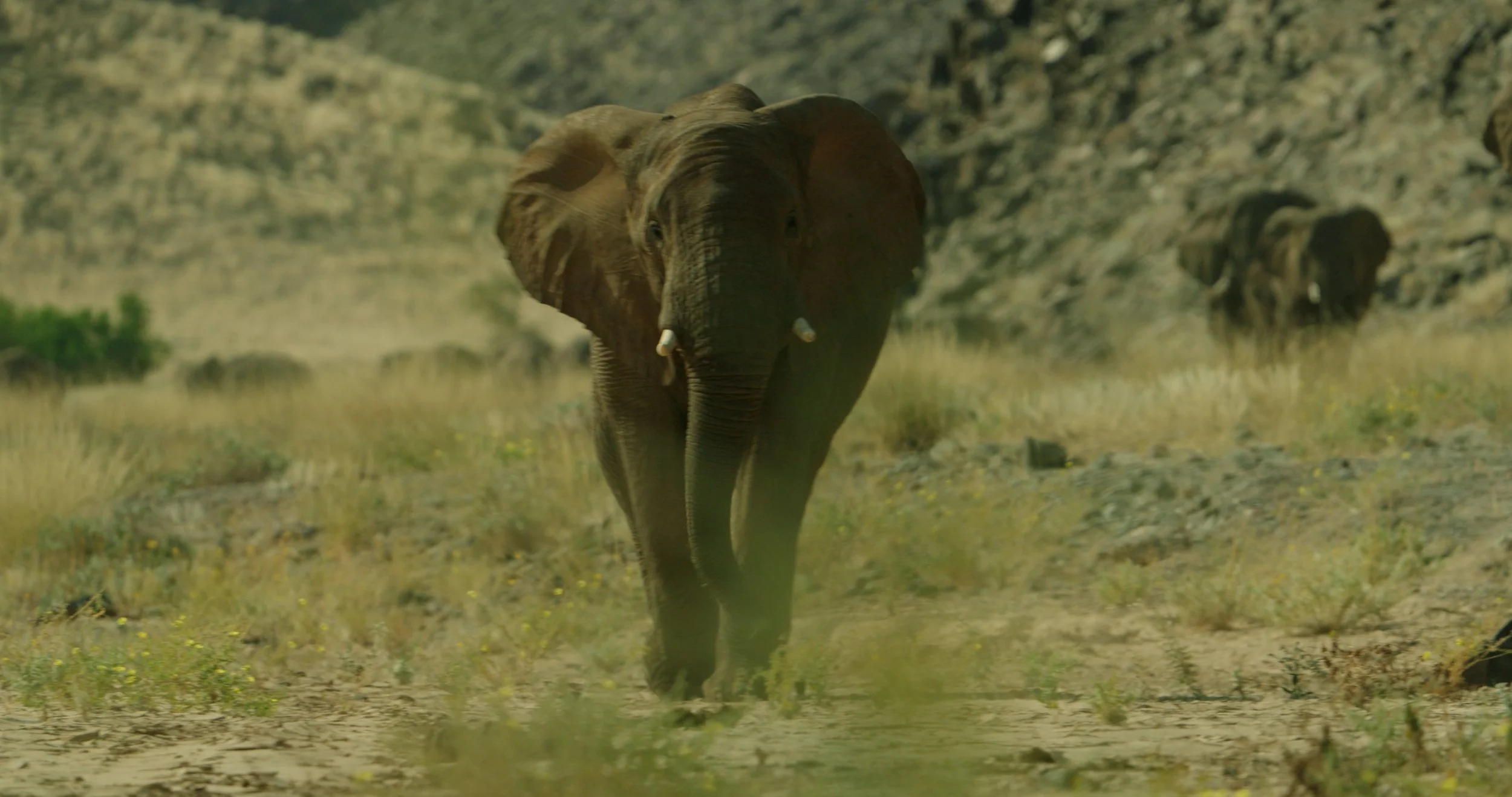 FX6A_0044.01_07_24_00.Still018 2.JPG