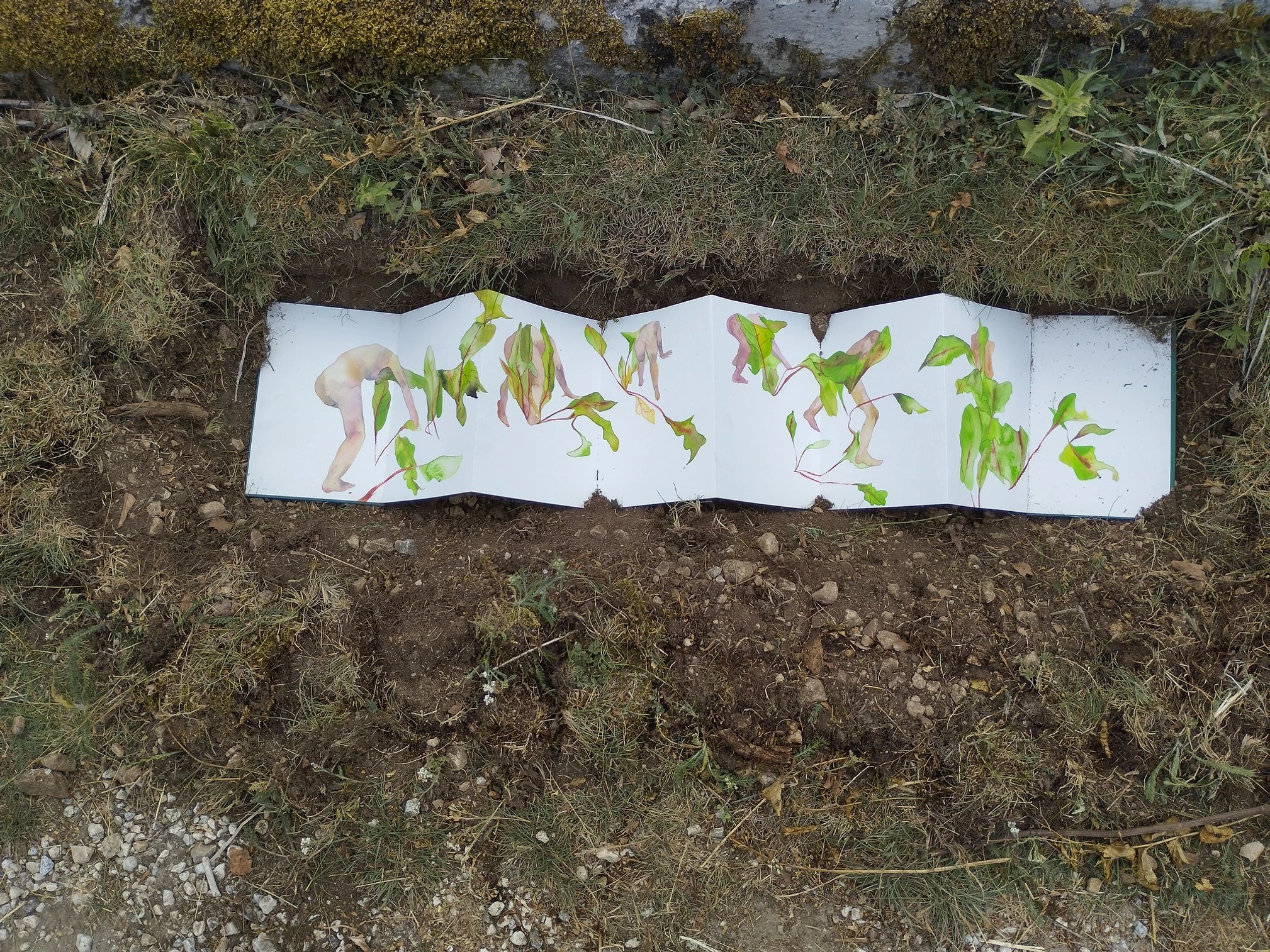 Accordion-style art book with plant and human figures, displayed outdoors on soil.