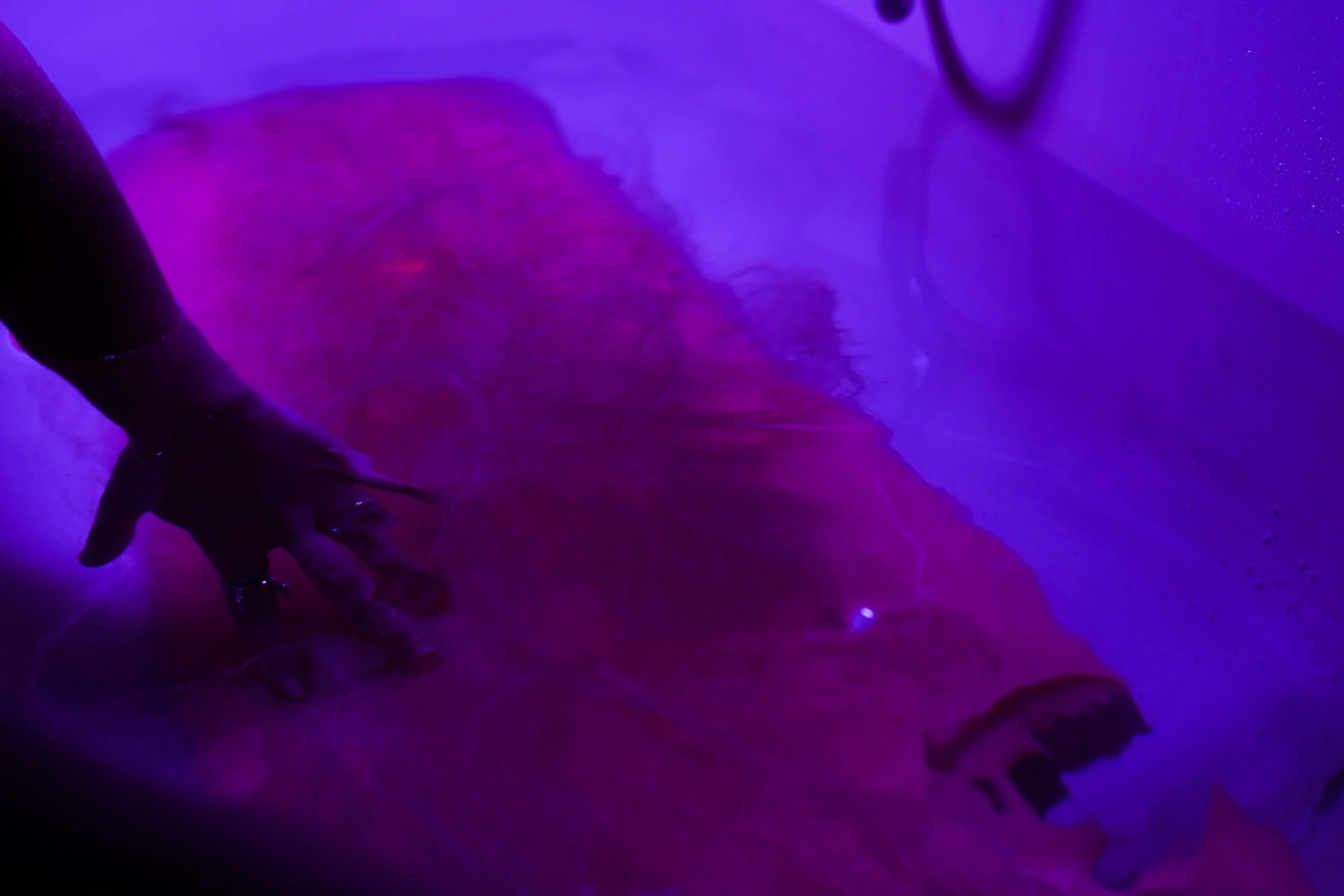 A person wearing rings on their fingers is touching human hair punctured into silicone illuminated by purple and blue lighting in a bath tub filled with water